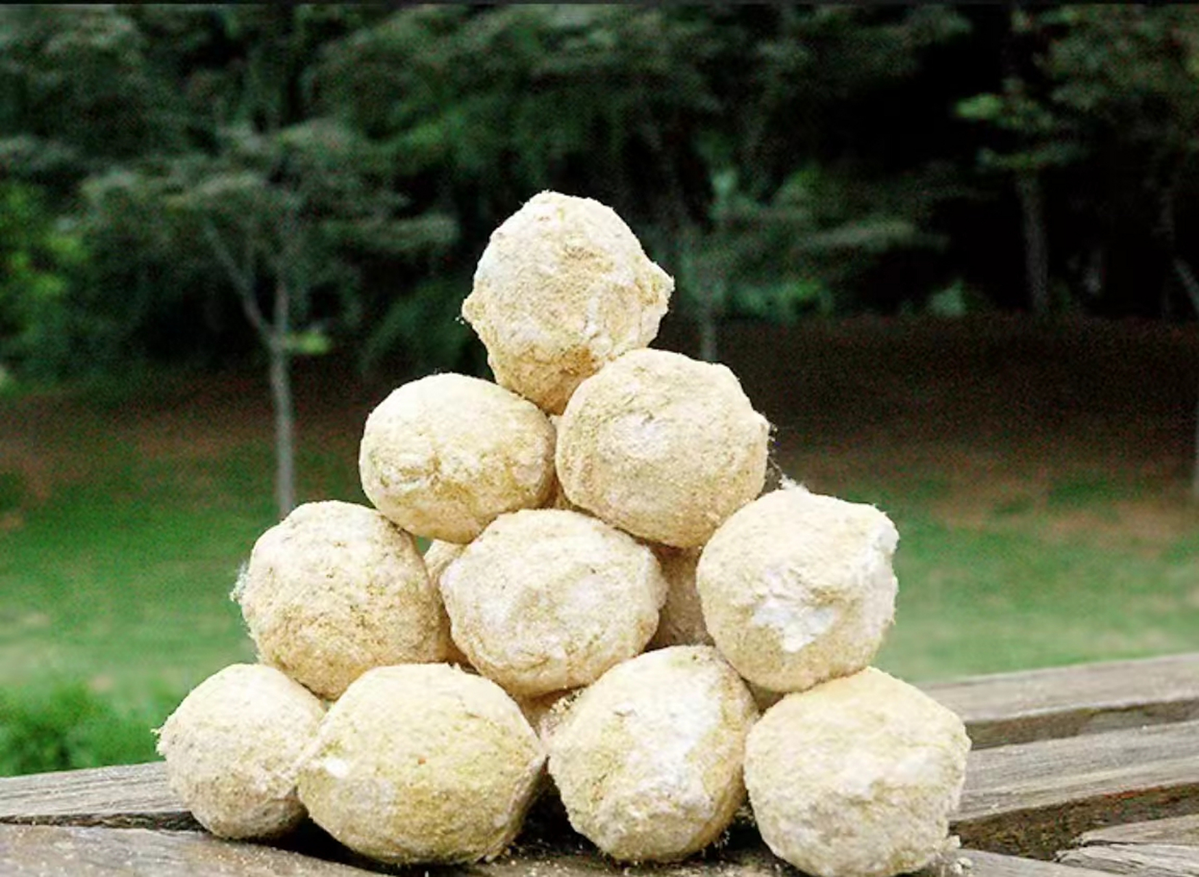 变蛋啤酒,收麦必须有!