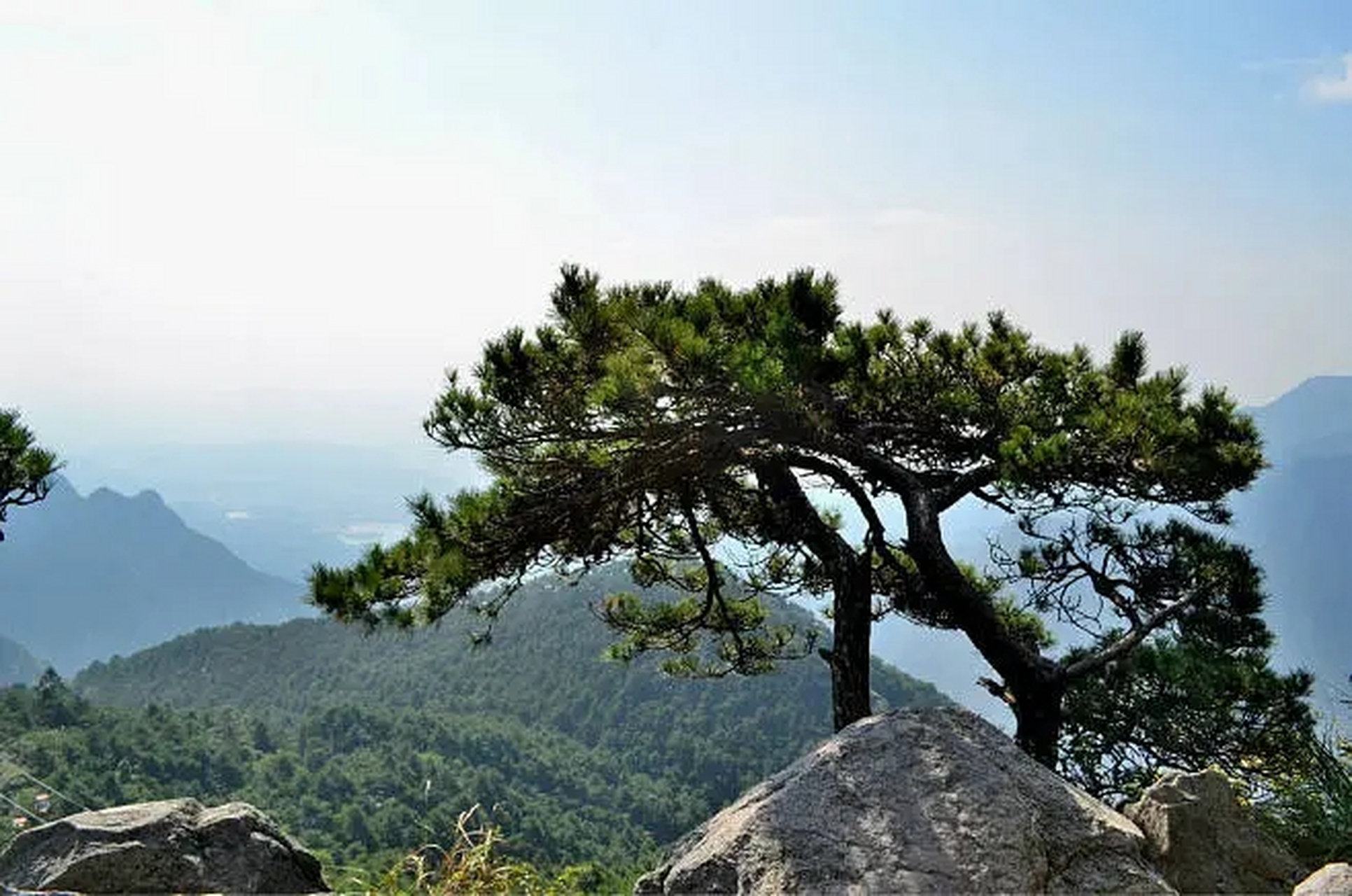 杜荀鹤怎么读图片