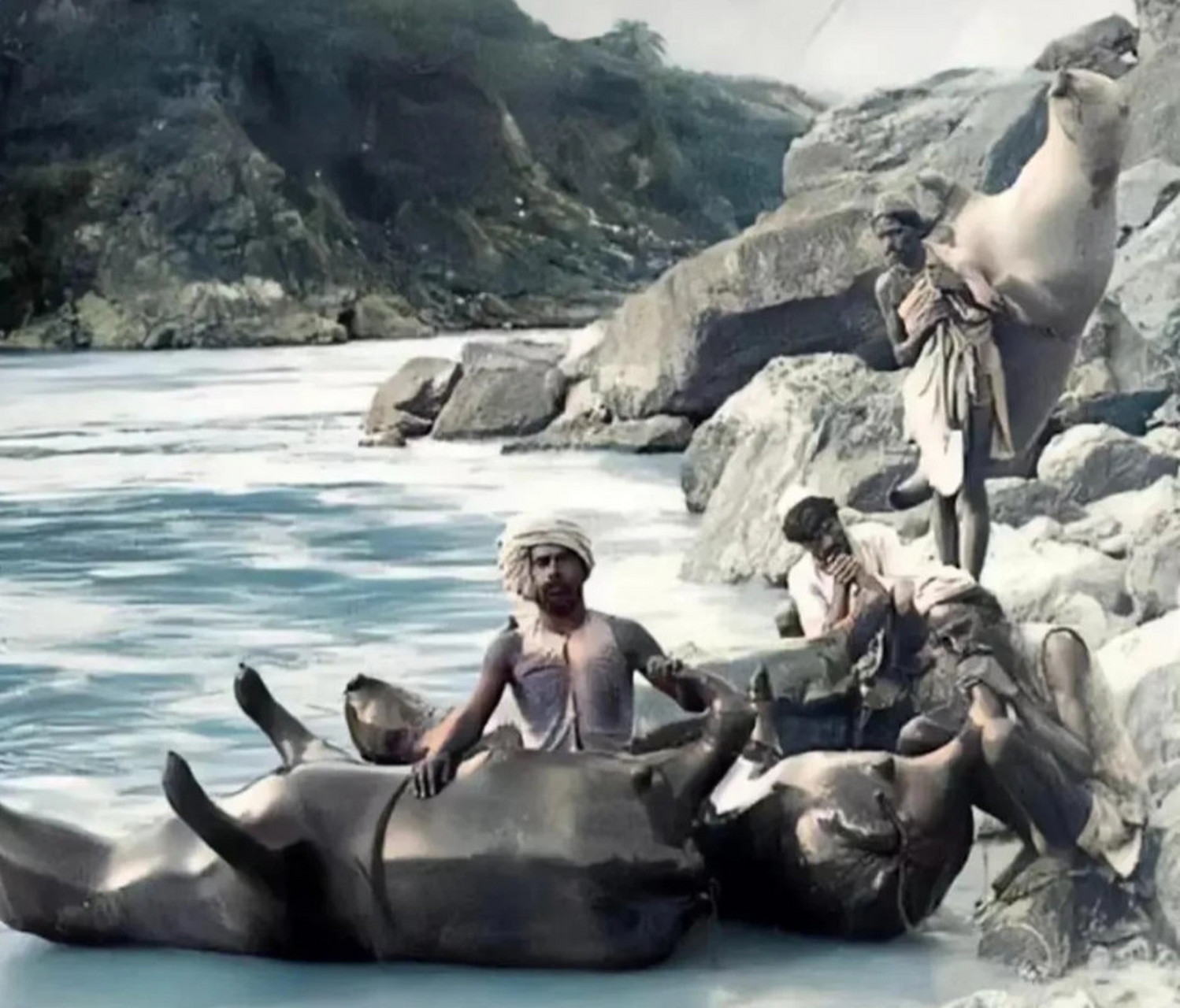 1907年,印度恒河畔,几位印度"匠人"正制作牛皮筏子,成本应该比羊皮