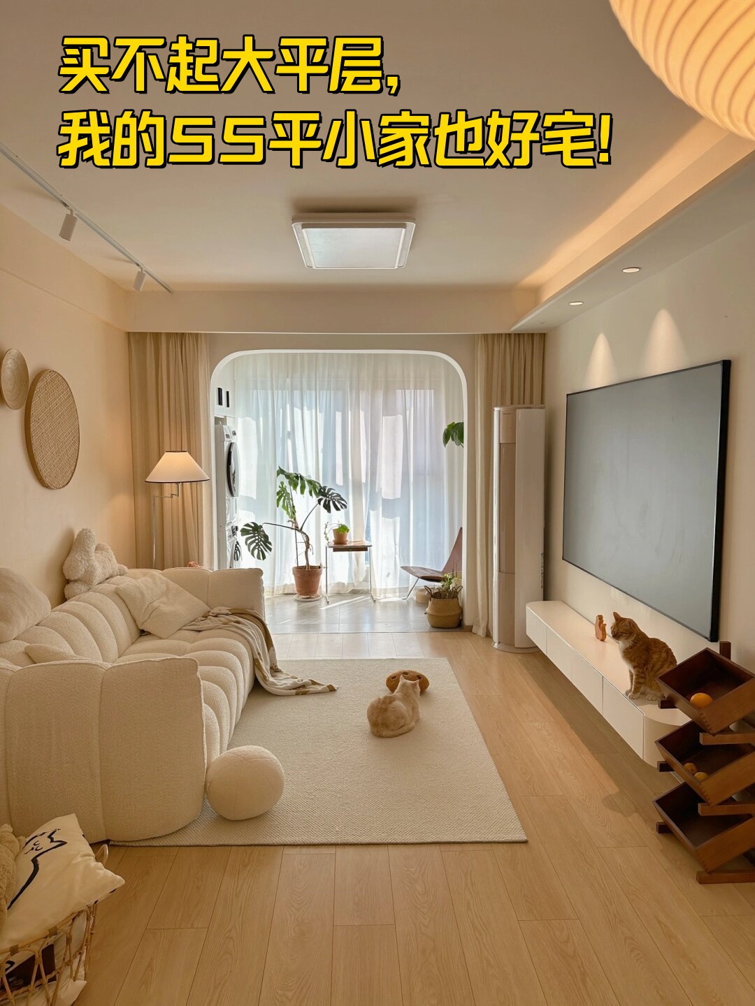 我的套内面积只有55平的小房子,虽然空间不大,但通过精心的装修和