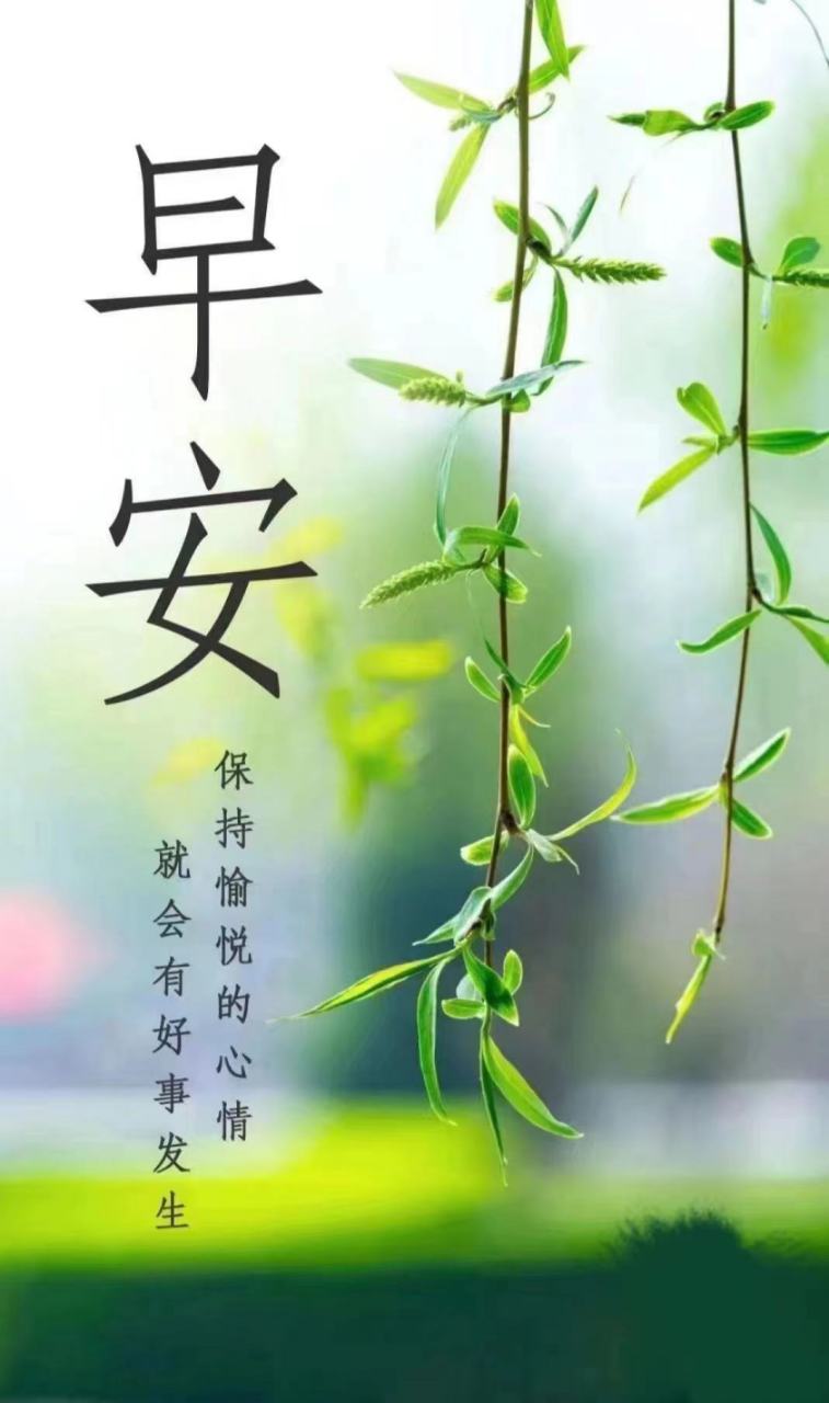 祝福早安,愿您牛气冲天!