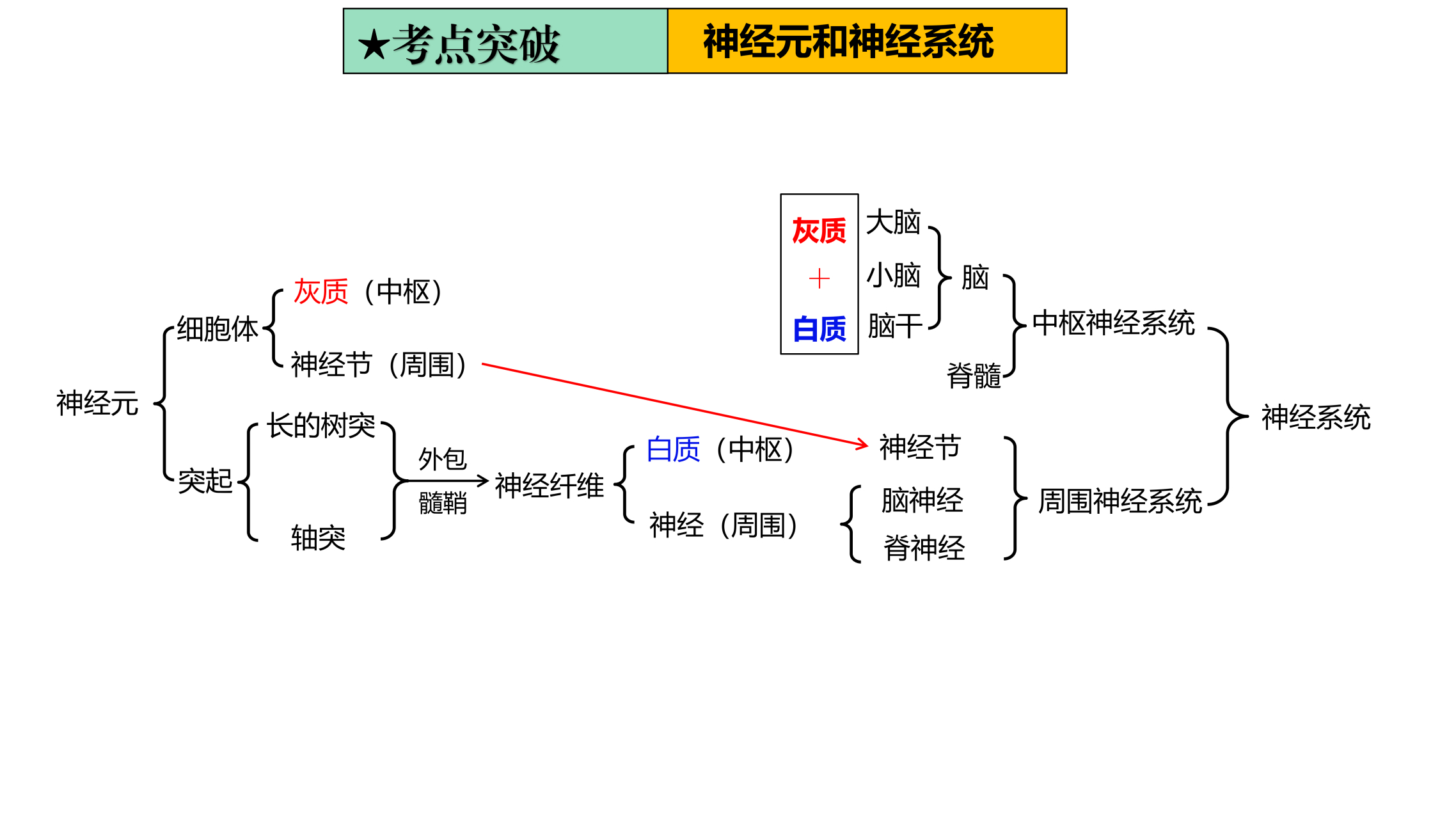 生物下册,知识点整理,第五章《生命活动的调节—神经系统的组成