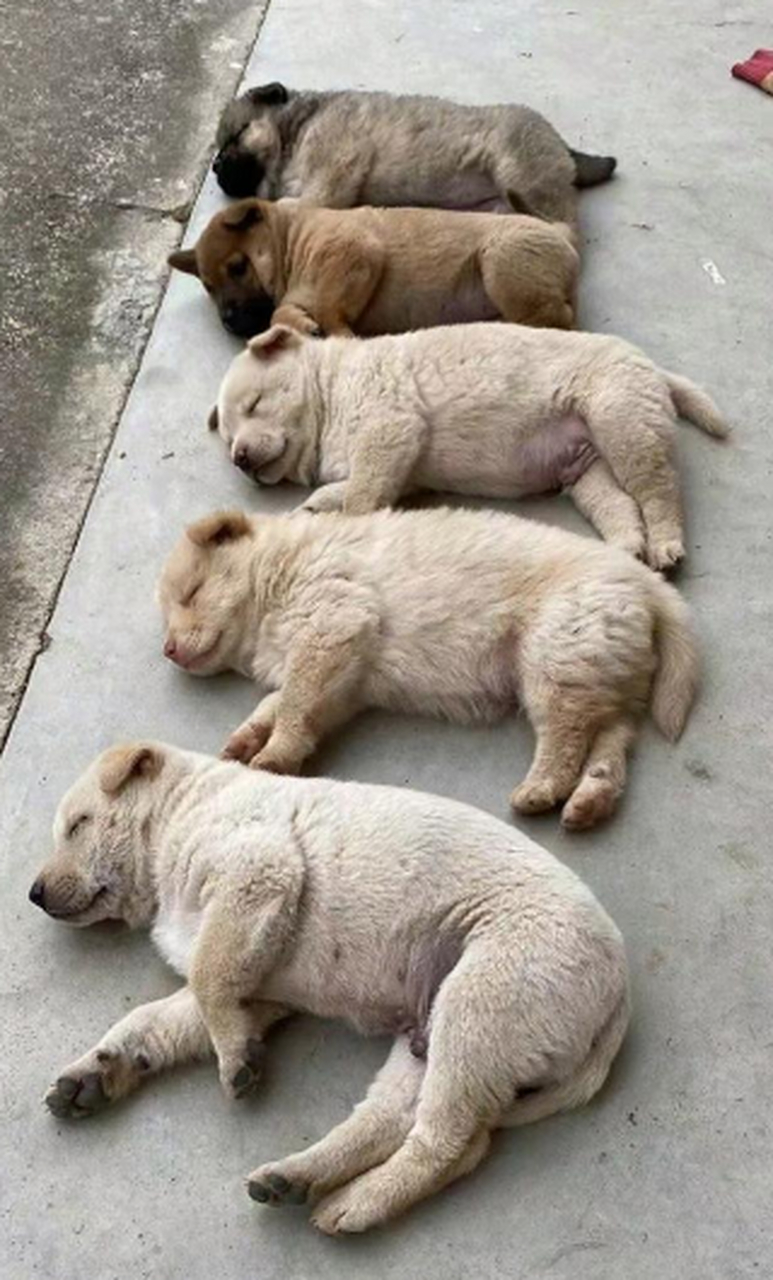 一家人就要整整齐齐在一起,好可爱.