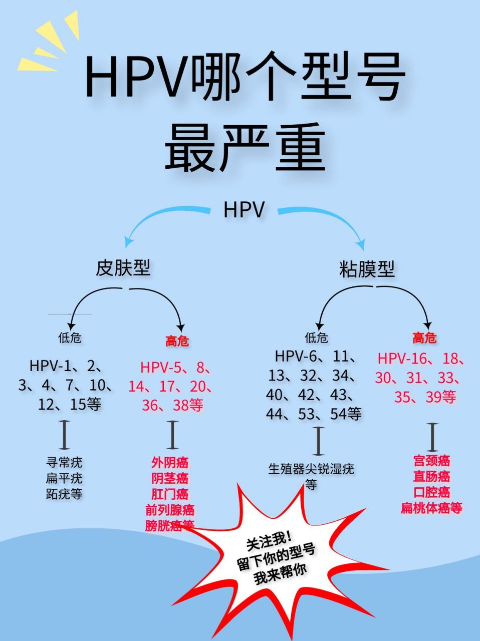 98根据hpv的与宫颈癌ai和癌前病变的联系高低