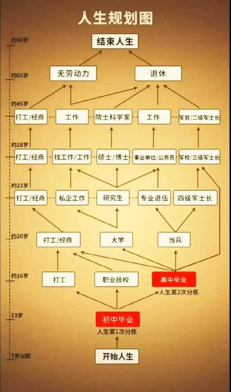 上完初中人生规划图图片