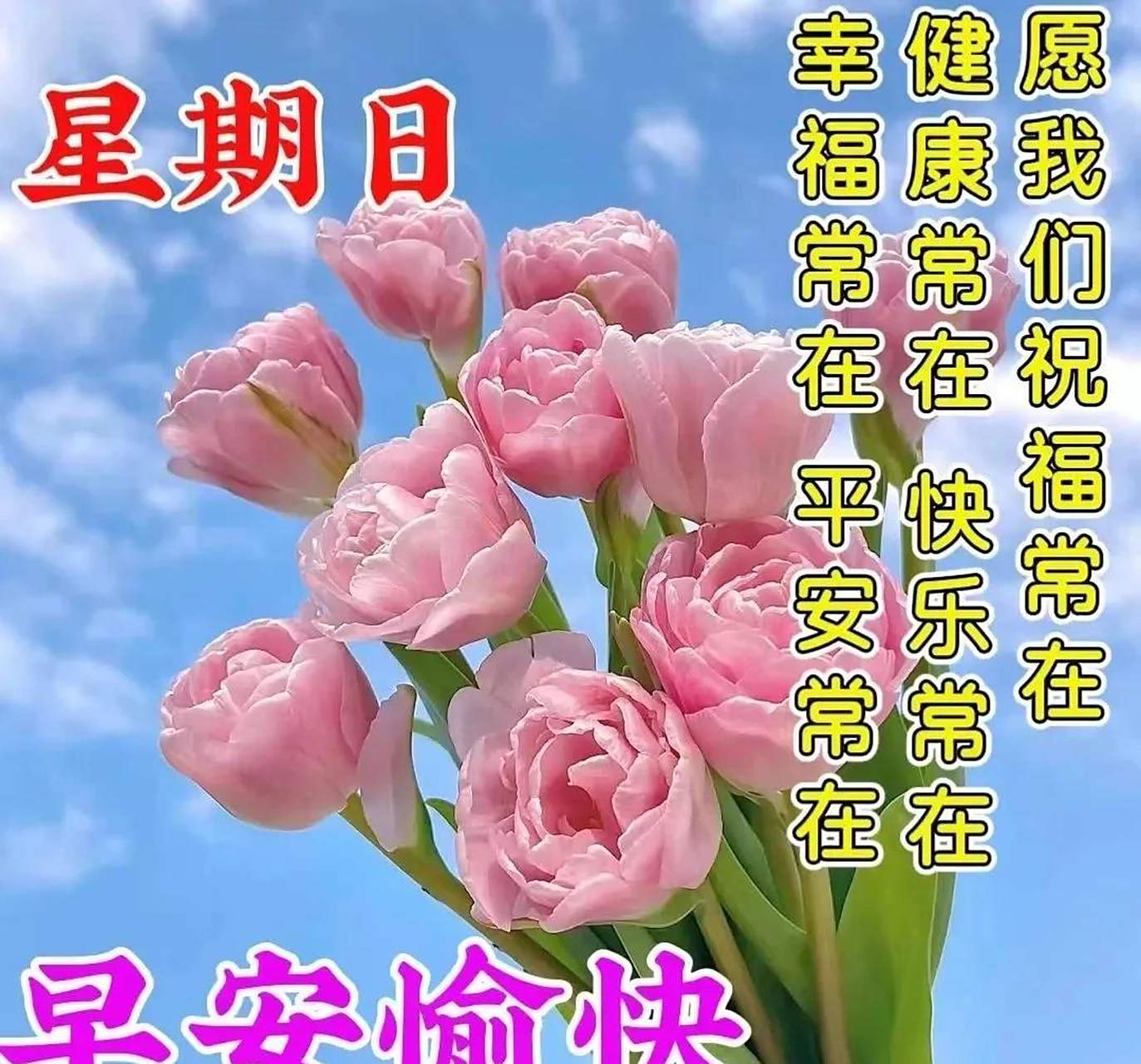 周日早上好,精选周末早安暖心图片,新的一天,事事顺心!周末愉快!