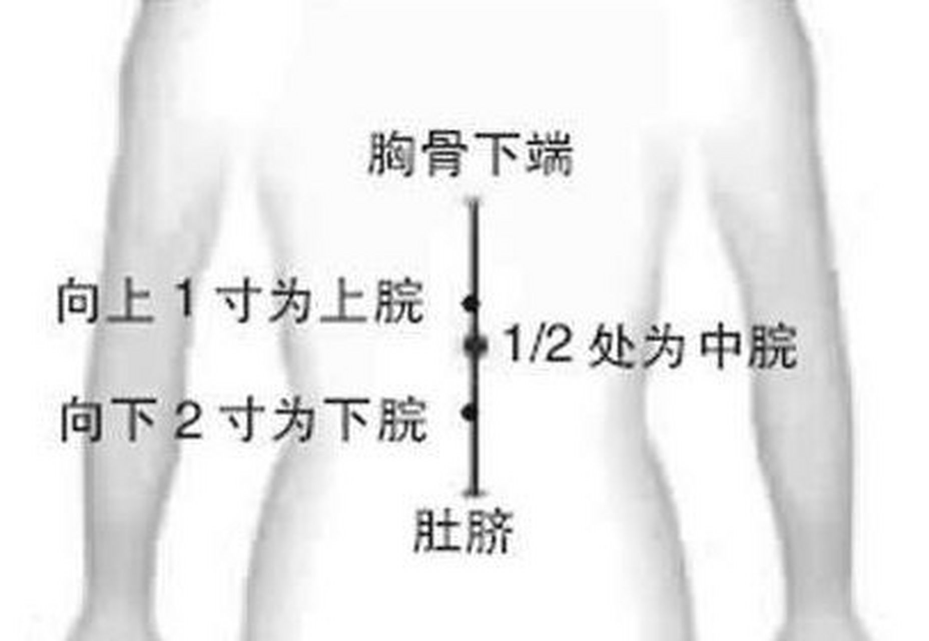 【易之道中医带你坚持穴位打卡】