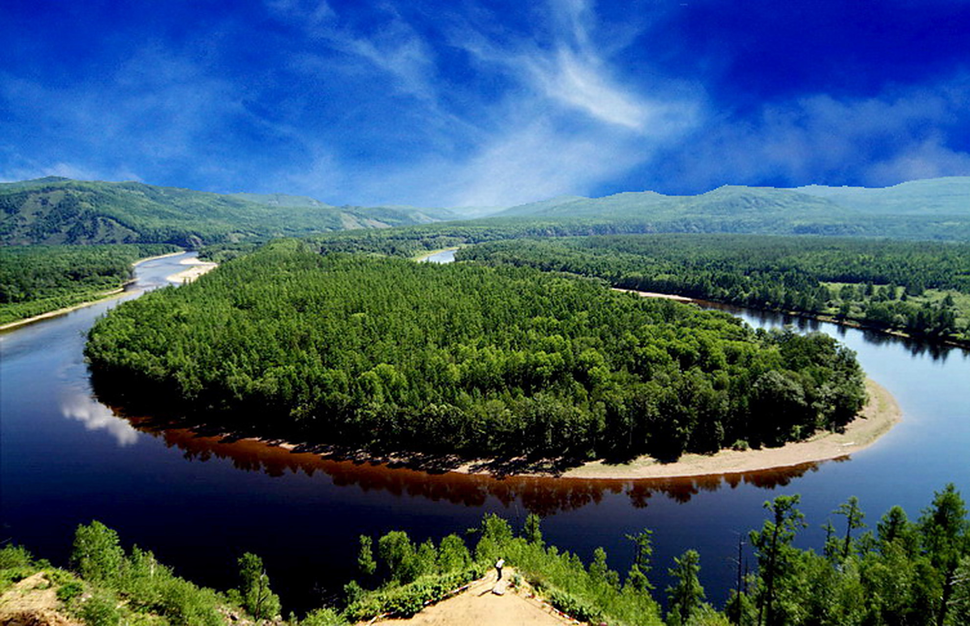 此处森林茂密,树干挺立,虬枝高深,盘根错节.