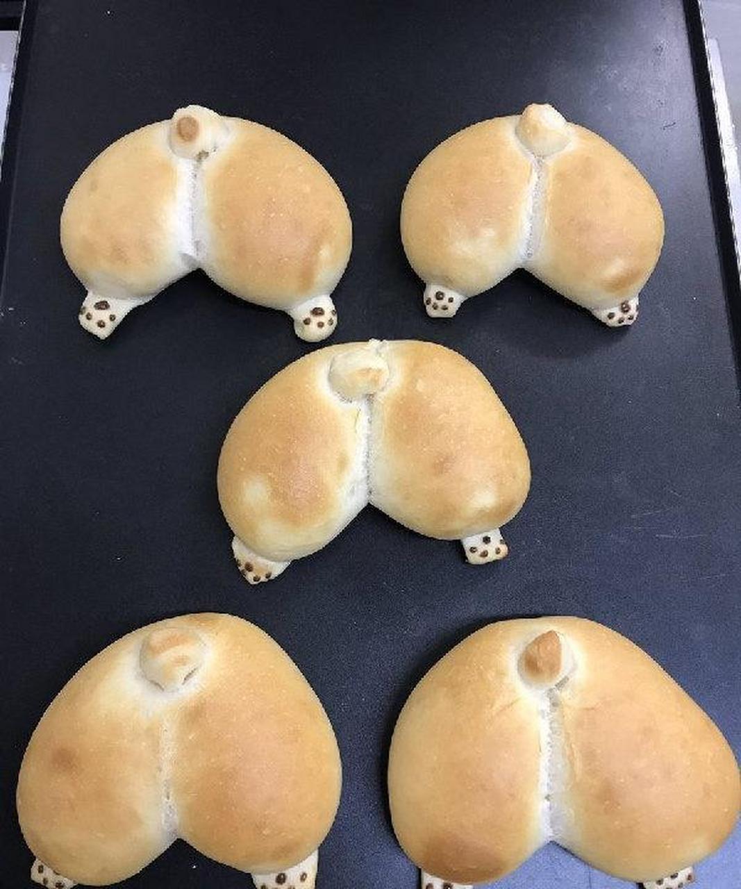 柯基屁屁造型的面包烤完了! #搞笑萌宠