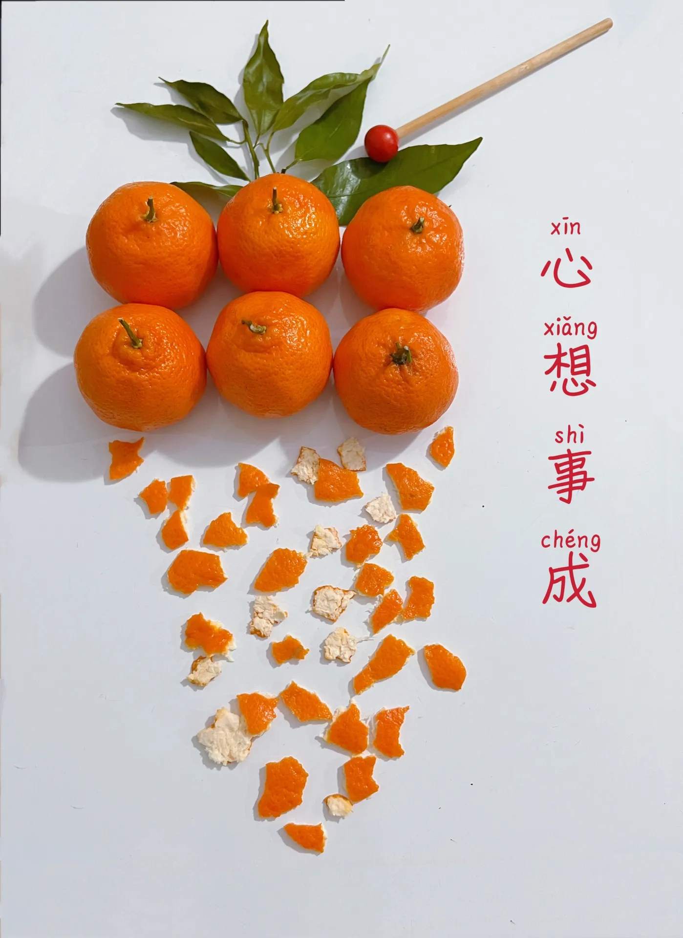 好玩的圆形有哪些名字(圆形游戏)