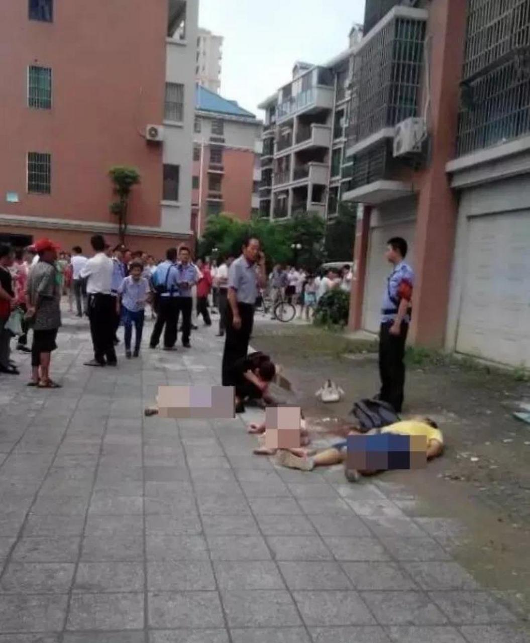 重庆姐弟坠亡案件二审# 重庆姐弟坠亡案件,今日二审开庭:  张波出生