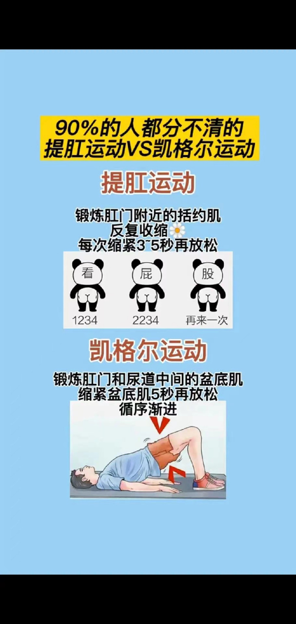 你们分不清的提肛和凯格尔运动他来了!