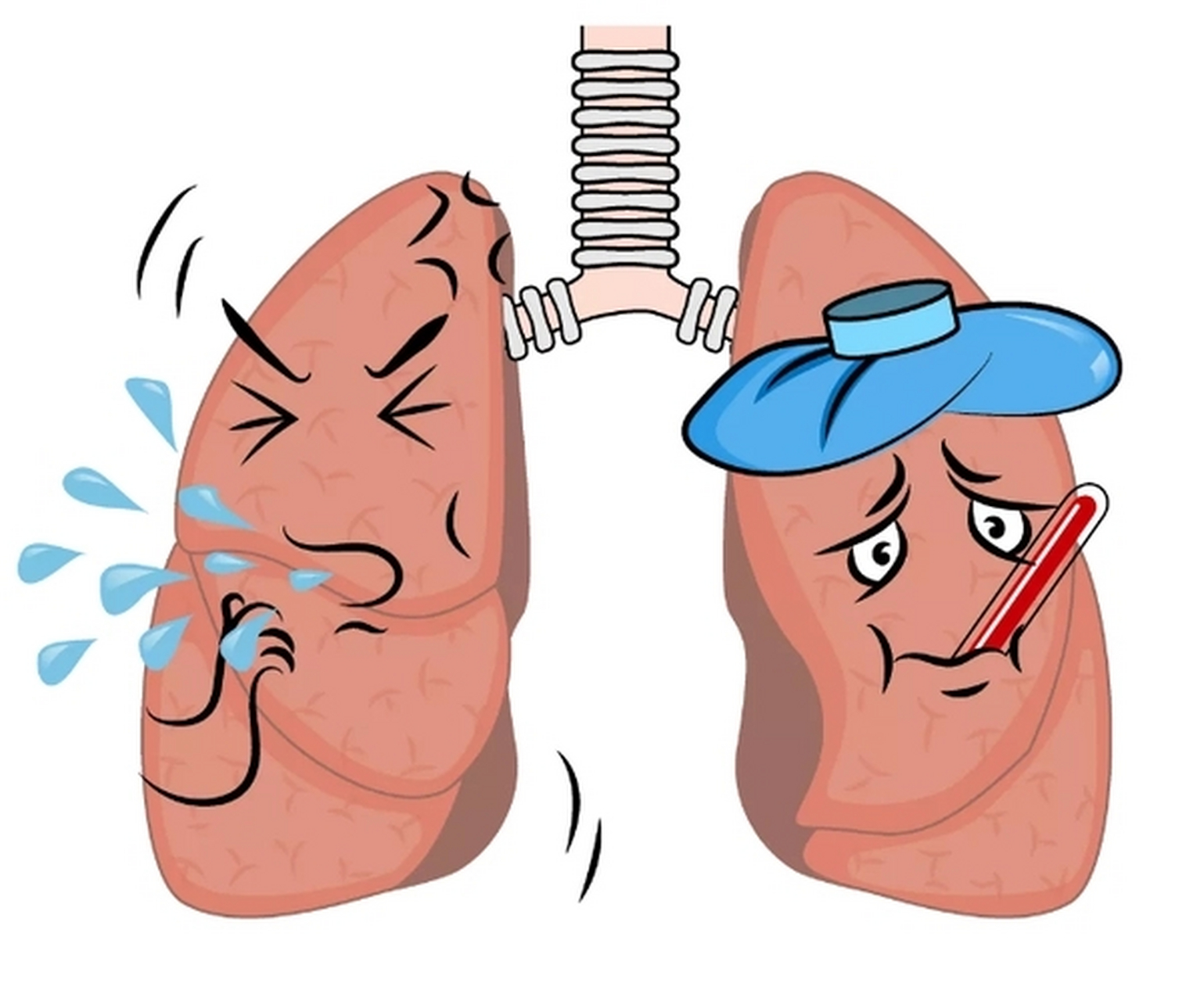 咳嗽,咳痰的饮食禁忌  如果是感冒发热的咳嗽,咳痰,此时忌食油腻厚味