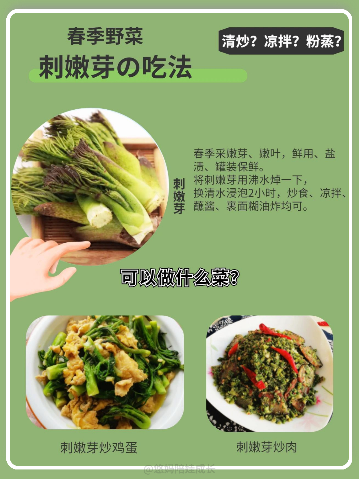 春天挖野菜吃野味的季节