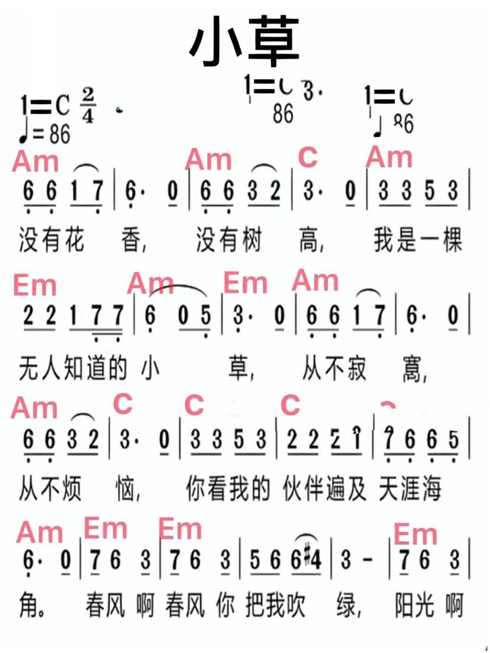 小草 简谱(已搭配左手和弦)	 余生,像小草一样活着,随处发芽,坚韧不拔