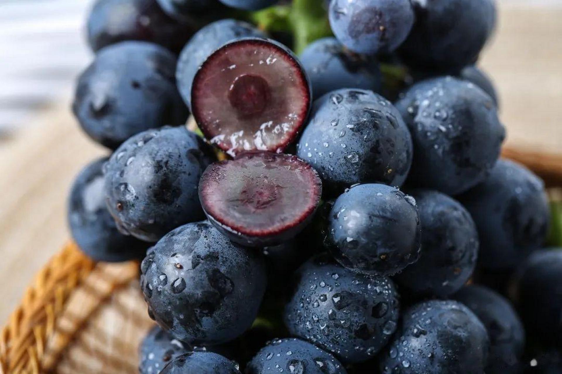 大妈的精选# 『云南蓝莓葡萄 当季水果爆汁脆甜 无籽的自然果冻 脆嫩