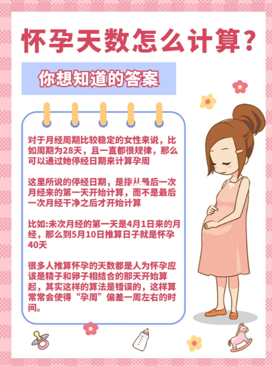 怀孕从什么时候开始算图片