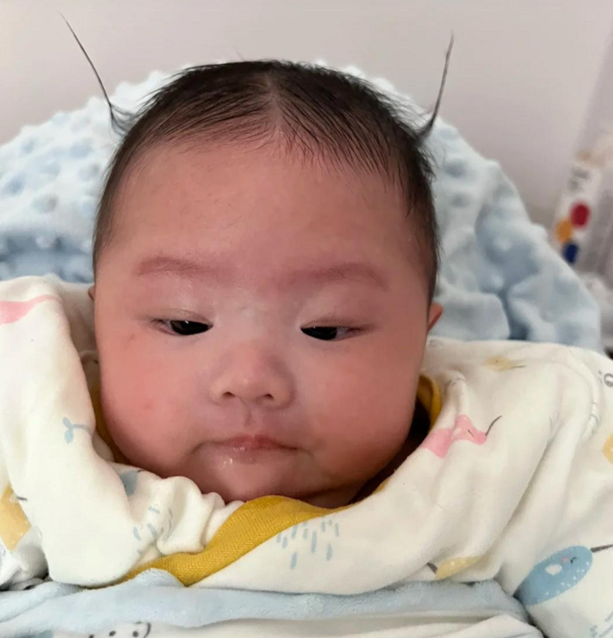 好可爱的两个小羊角辫