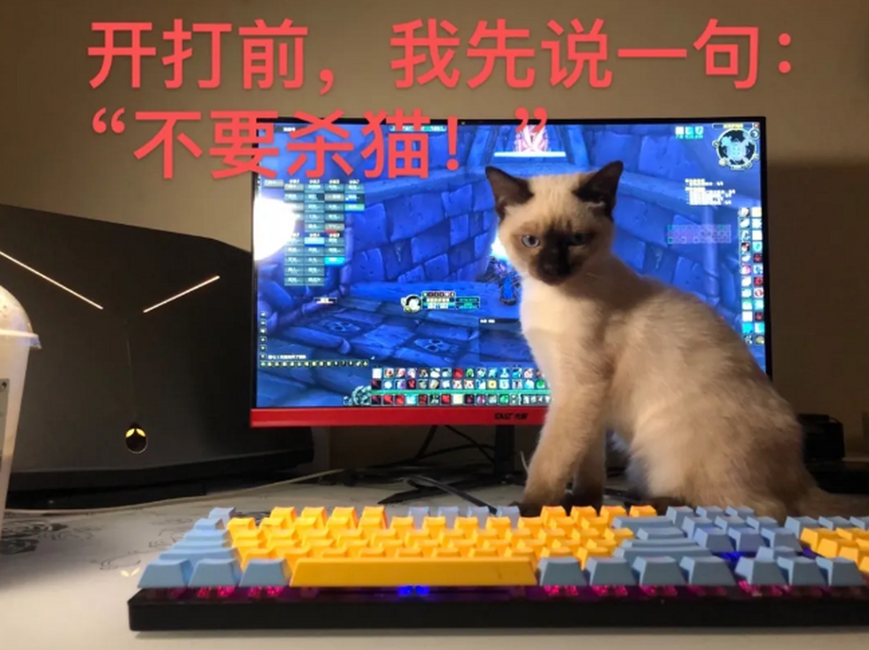 这是来自于来自比格沃斯先生的死亡凝视!