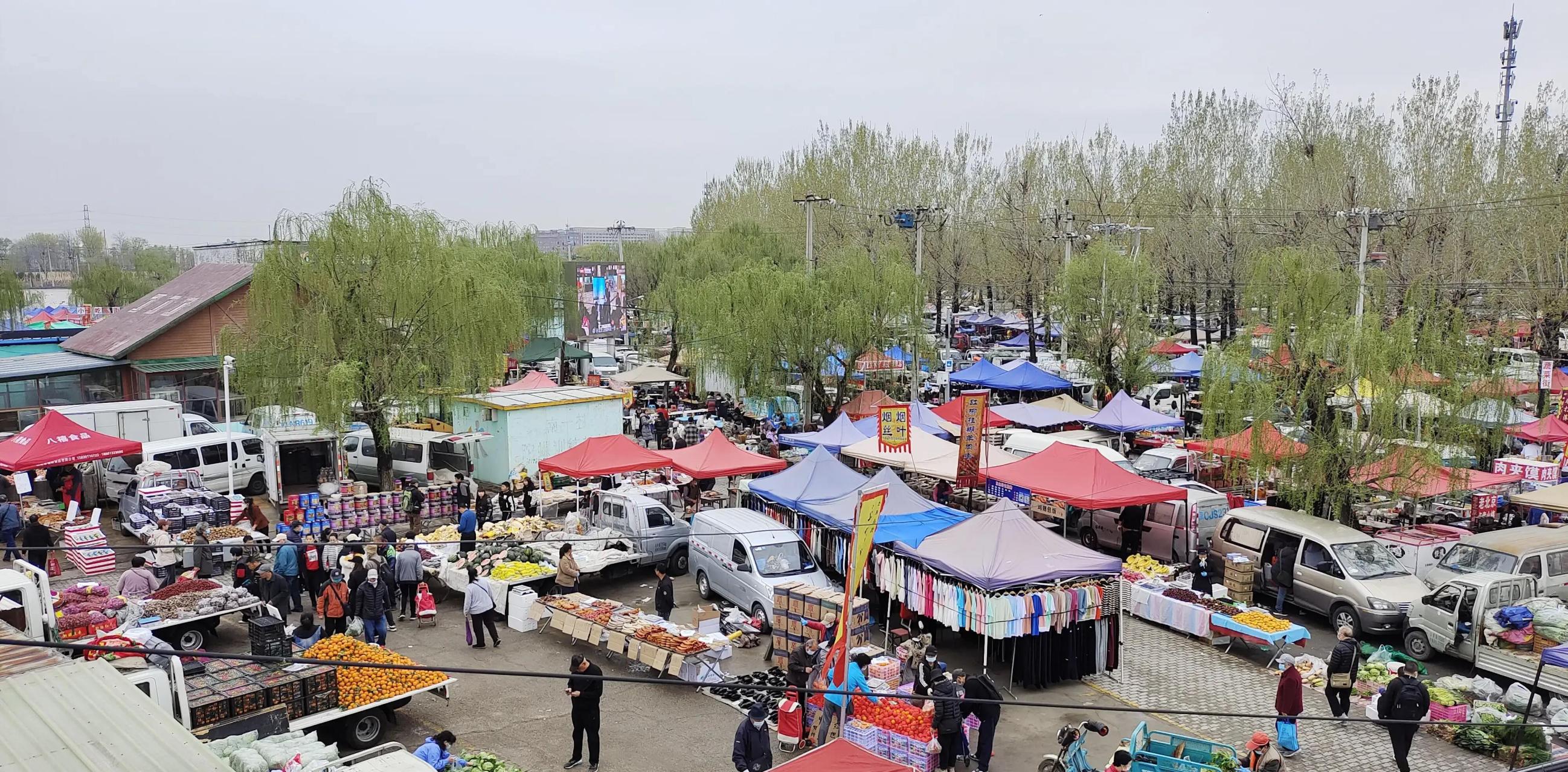 今天沙河大集的战利品颇丰  今天清明放假,一看是周三,赶快早起奔赴