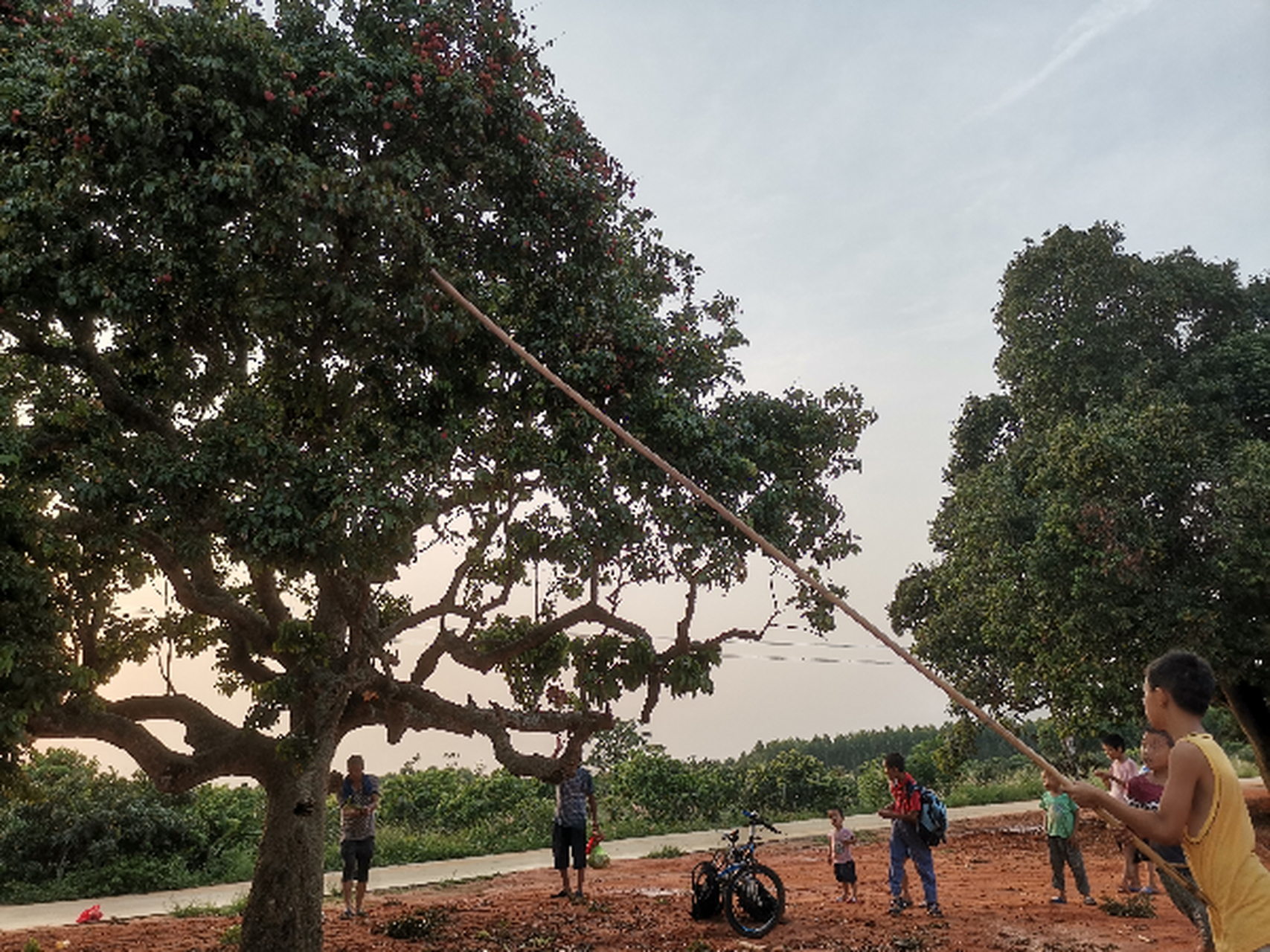 湛江市遂溪县杨柑镇新宁行政村长毛田自然村,乡村自然风光和人文情怀