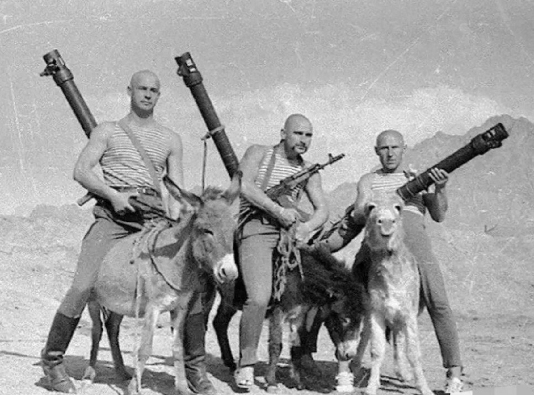 1979年12月末苏联入侵阿富汗,苏军原预计在3个月内结束,结果一打9年.