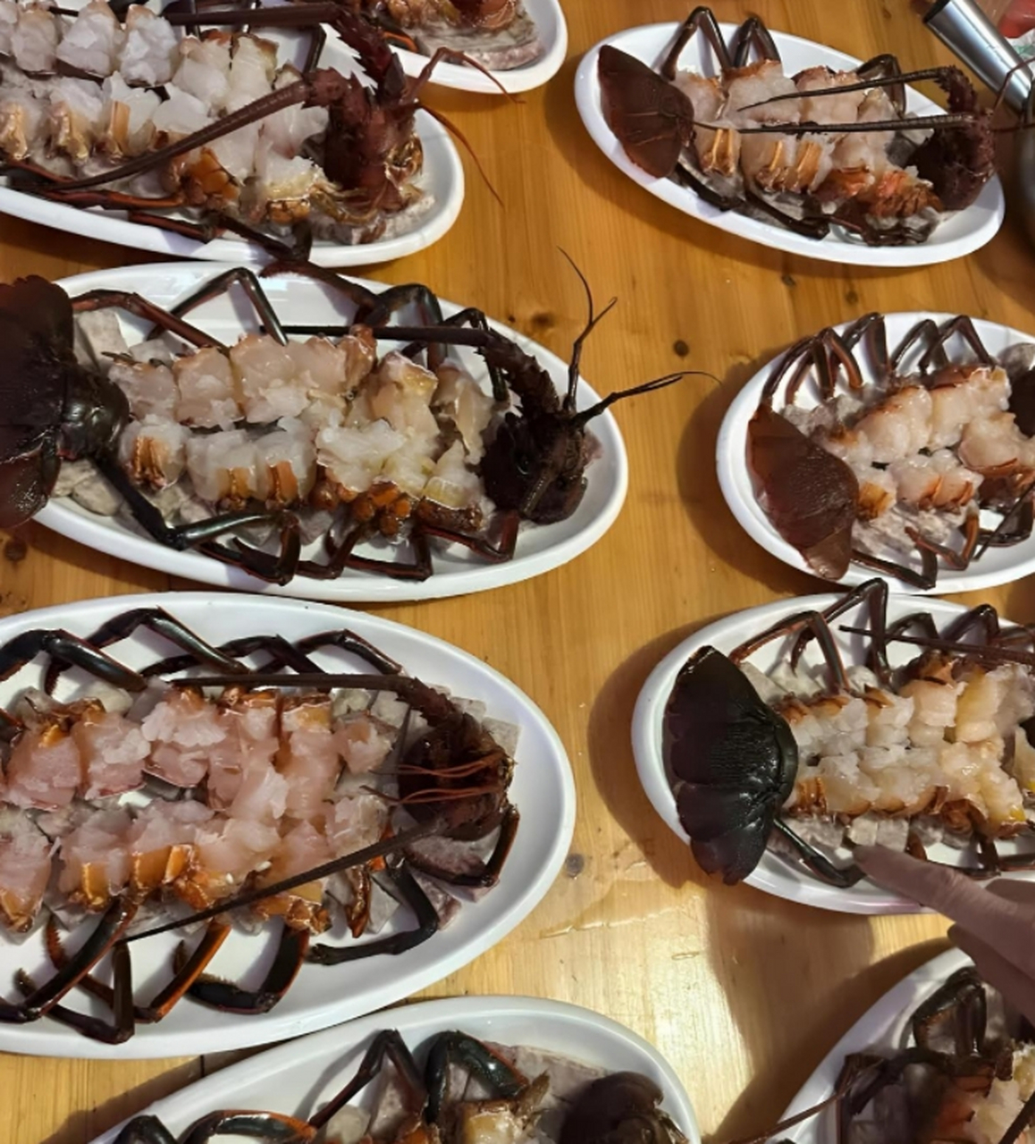 这样的"蟑螂",我能吃5盘