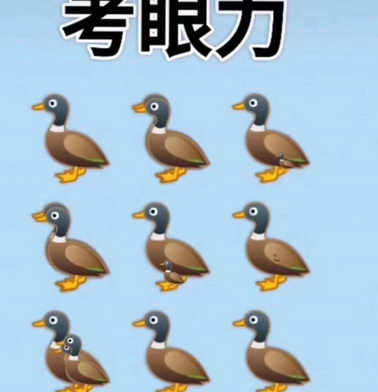 图中有16只鸭子,看出9只的老花眼,看出14只的绝对还年轻!