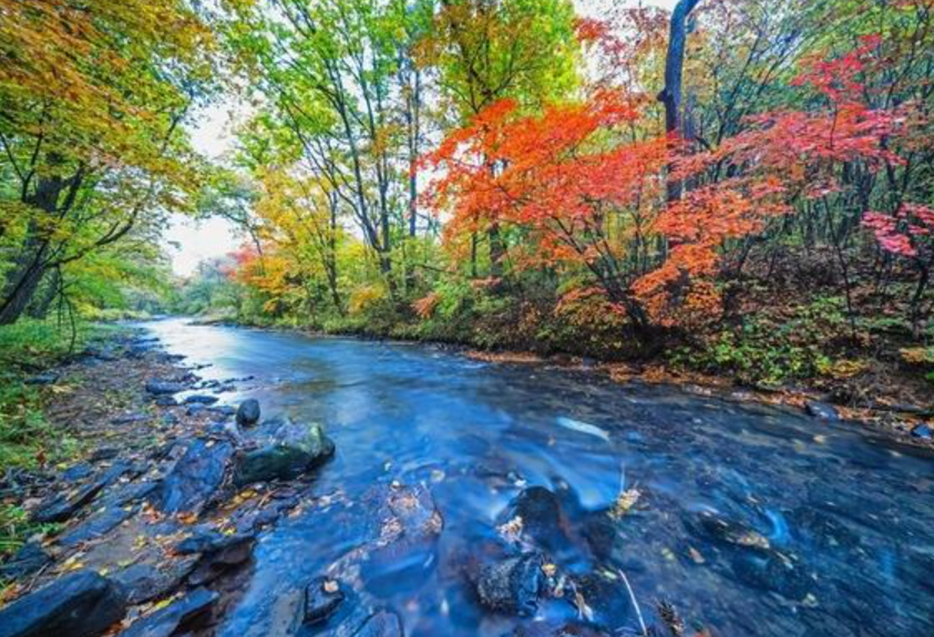 吉林露水河长白山狩猎度假区,一湖碧水,四周青山,随着秋季的到来,青山