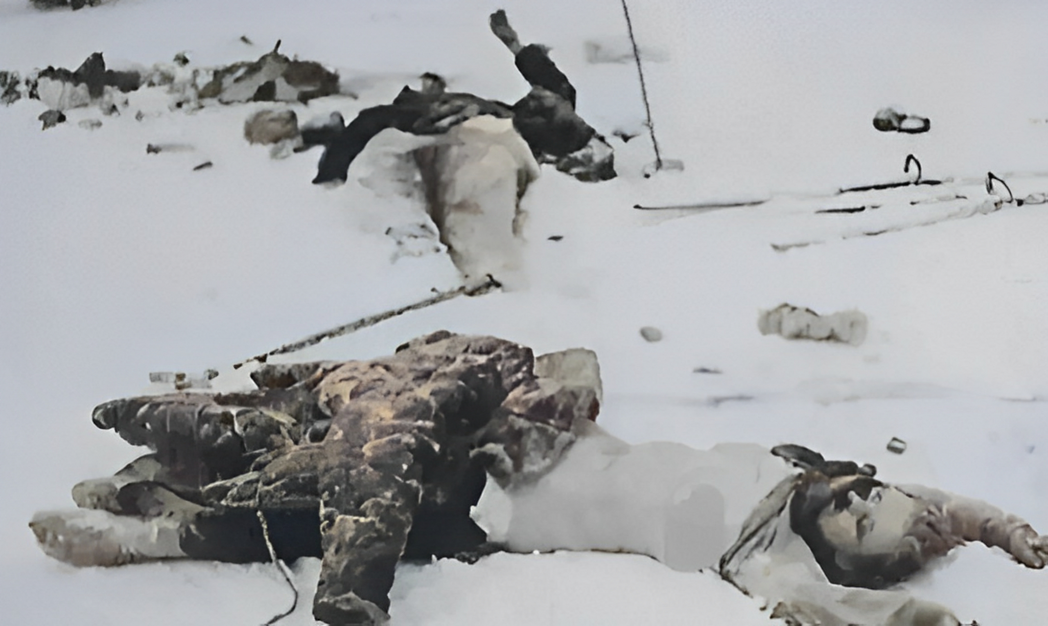 这是1942年在斯大林格勒郊外,一个苏联的女兵正赤裸地躺在雪地里!