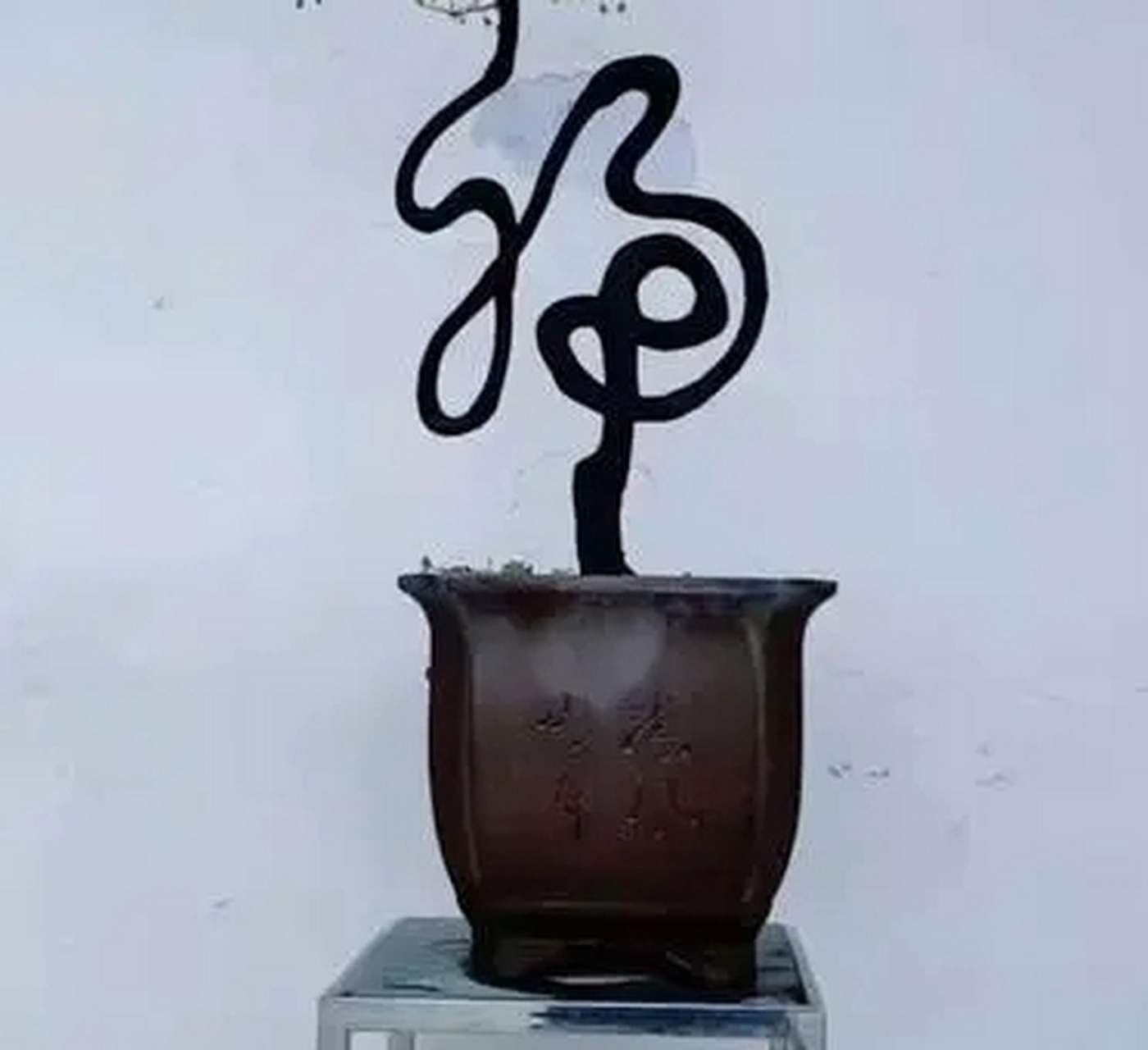 这是啥盆栽,寓意不错!是个福字.