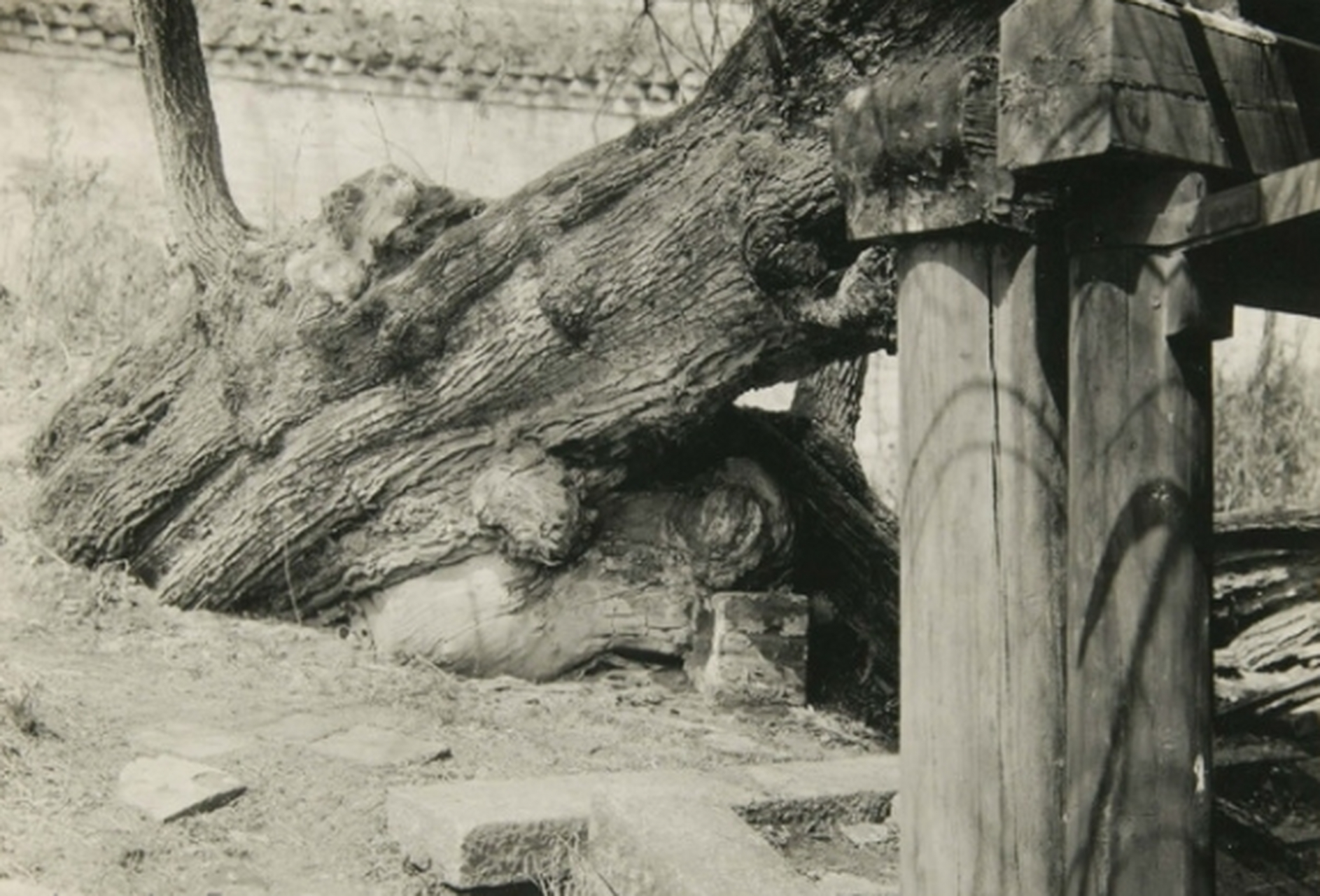 历史老照片# 1930年抚顺老照片,新宾县清永陵的民国风貌.