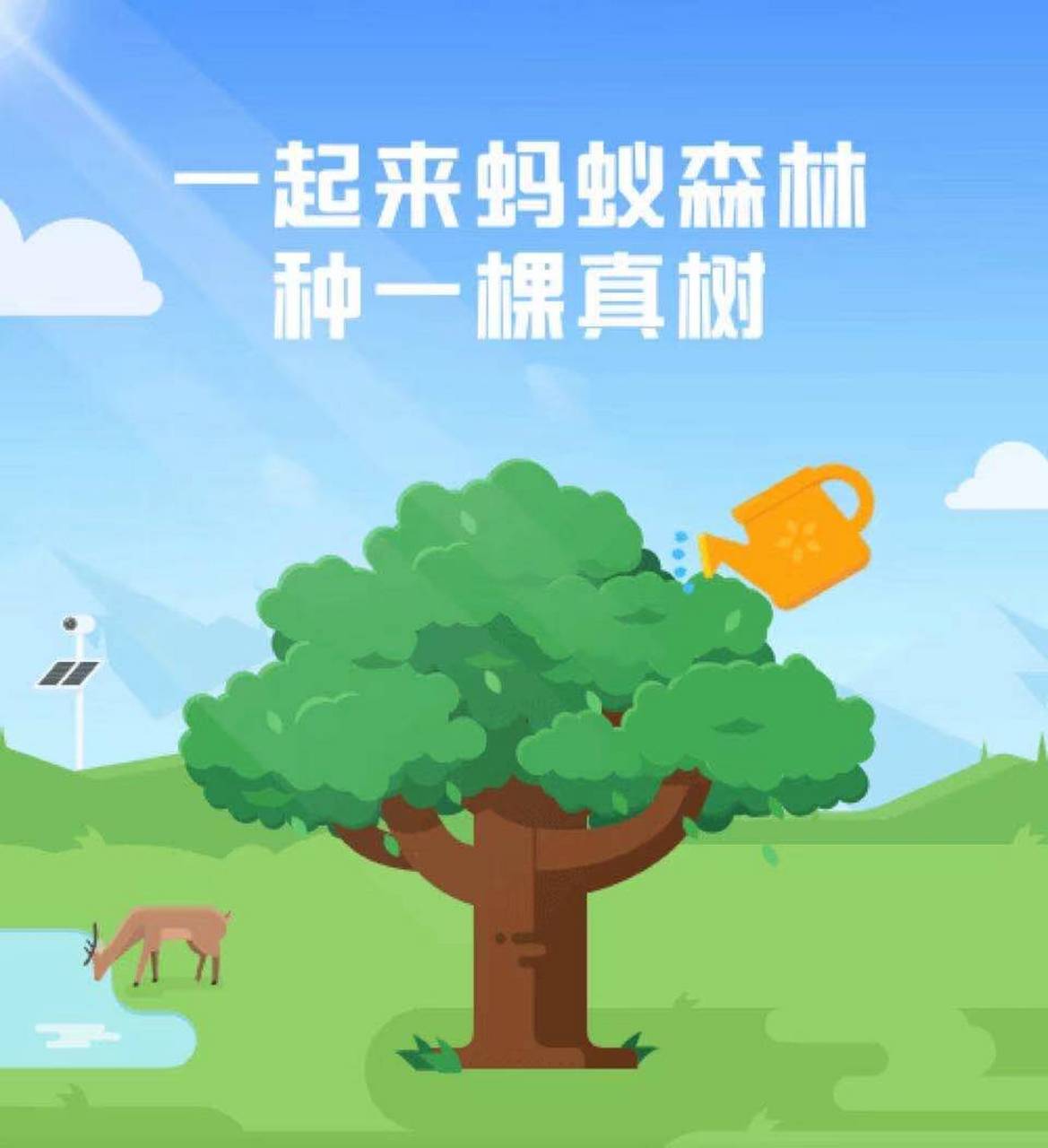 【蚂蚁森林某公益项目存在污染?