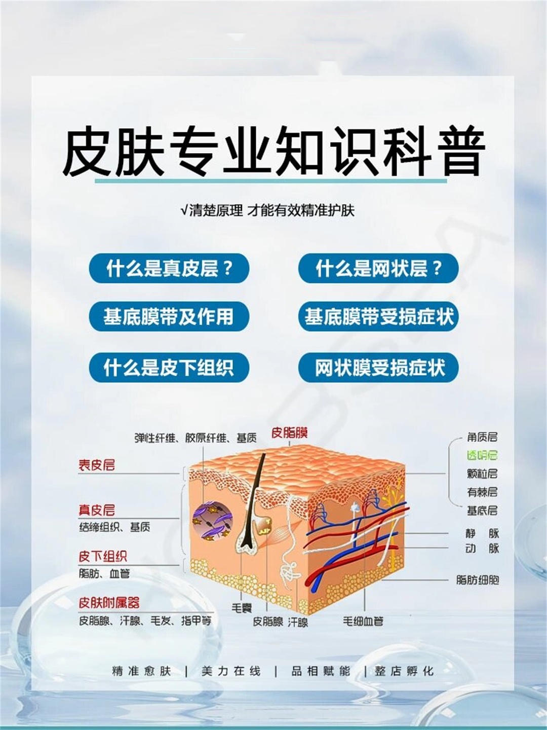 皮肤专业知识科普  我们的皮肤分为表皮层,真皮层和皮下组织三层.