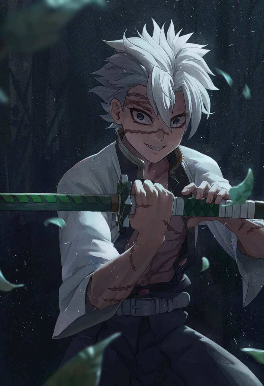 《鬼灭之刃》风柱——不死川实弥帅气美图!