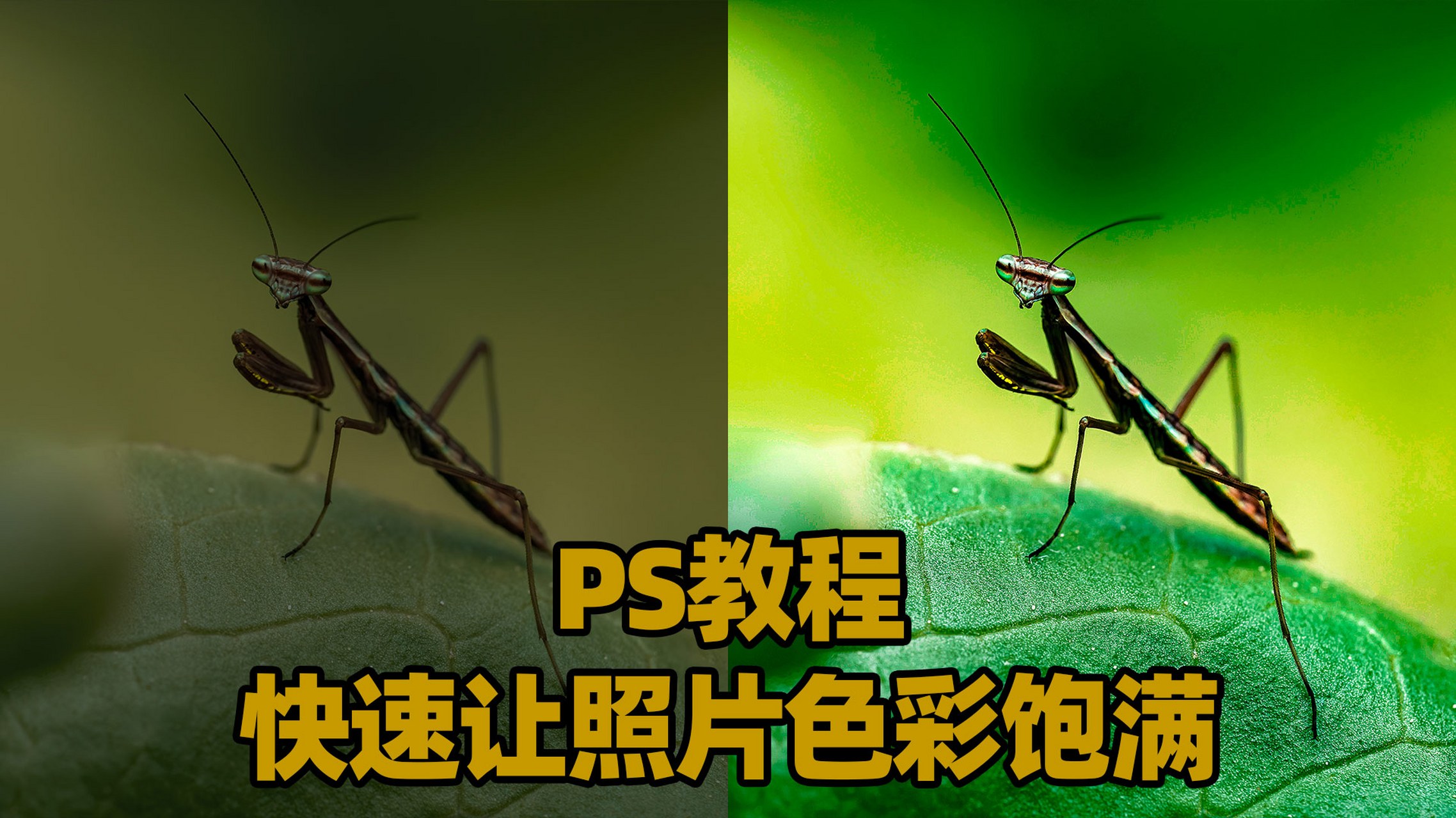 欢迎交流学习#摄影#ps