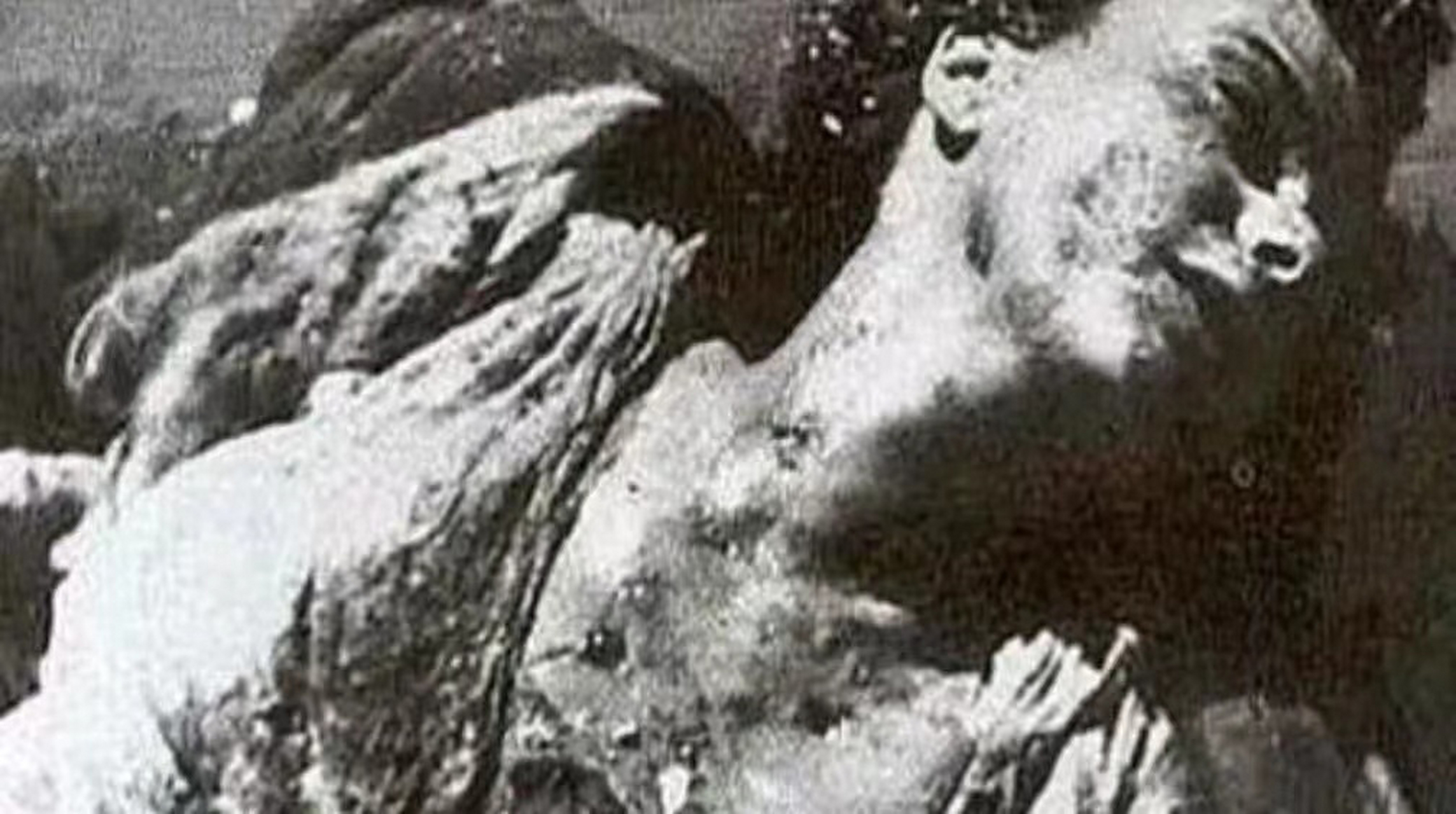 照片中这位拥有倾城容貌的女子,名叫克拉拉·贝塔西,是墨索里尼的情妇