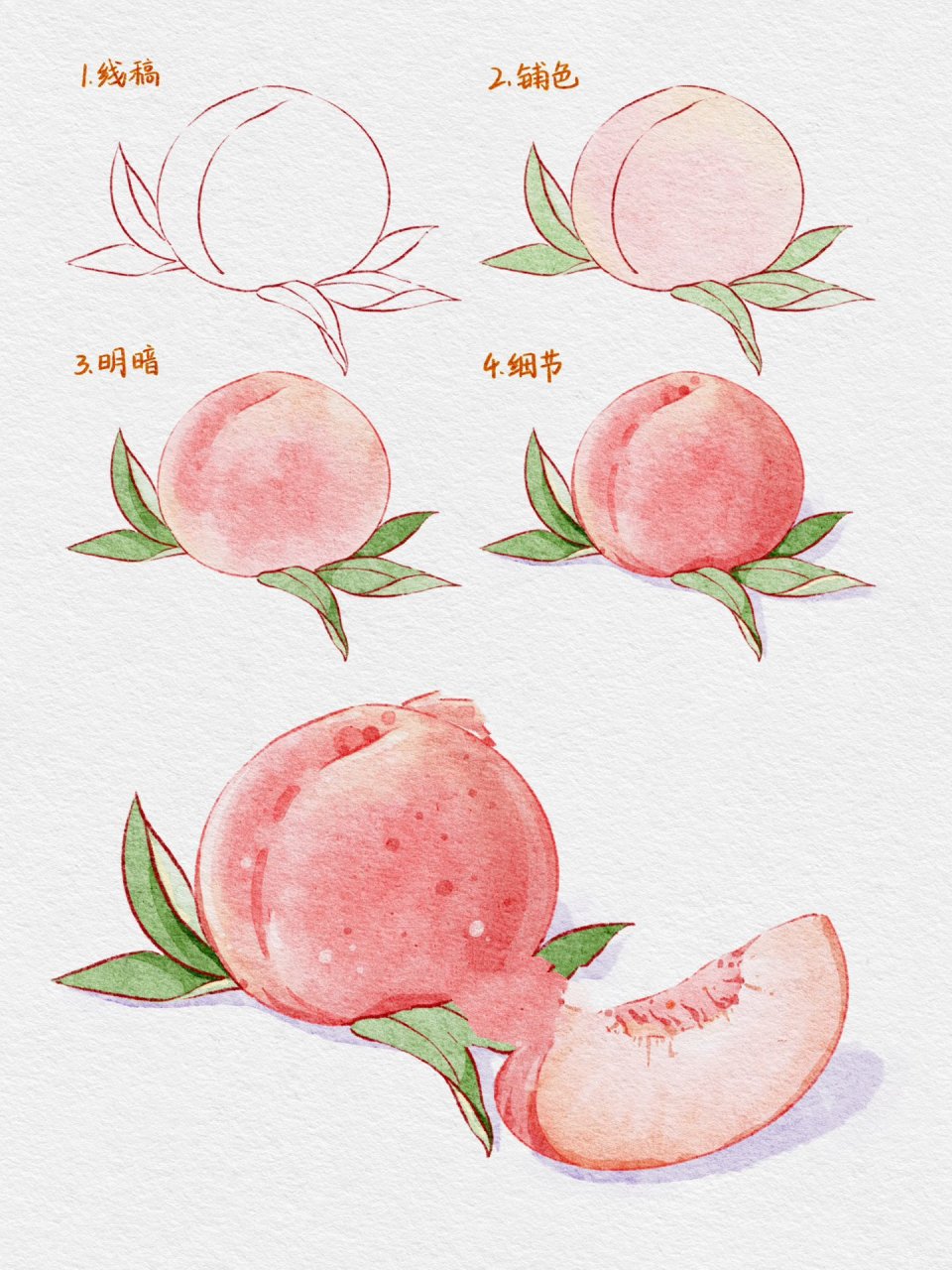ipad水彩画美食水果-水蜜桃子～99