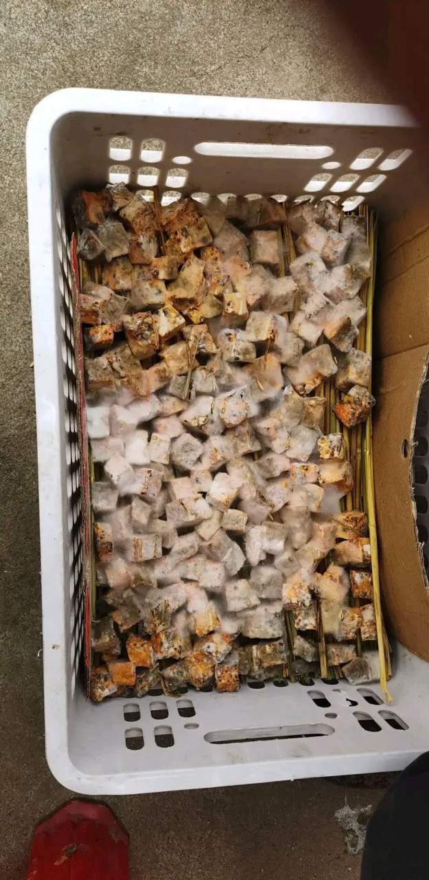 我很喜欢吃发霉的豆腐,但看着制作过程却没了胃口.[微笑]