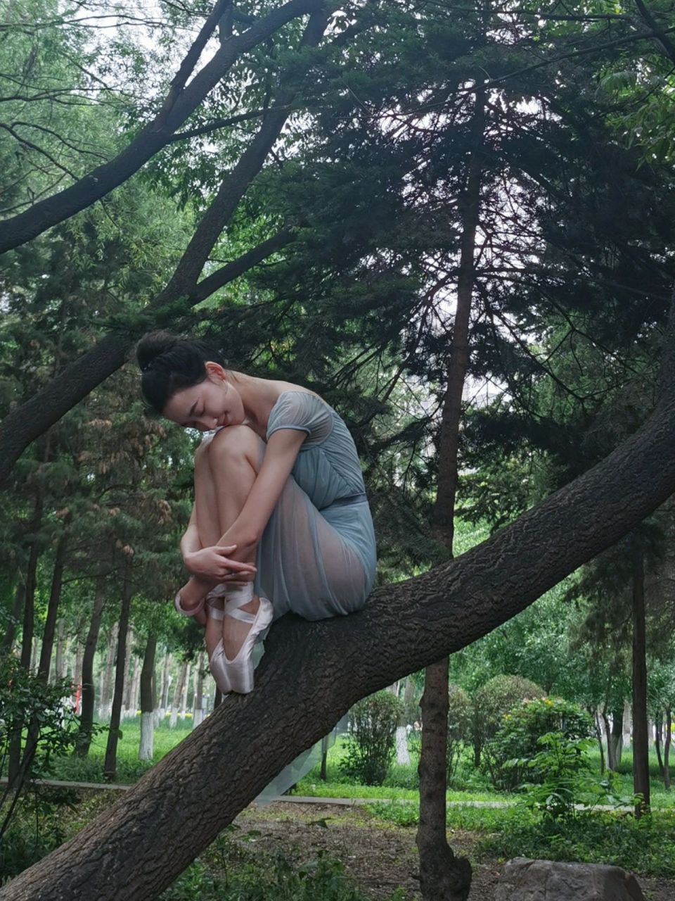 树仙小精灵0269♂15