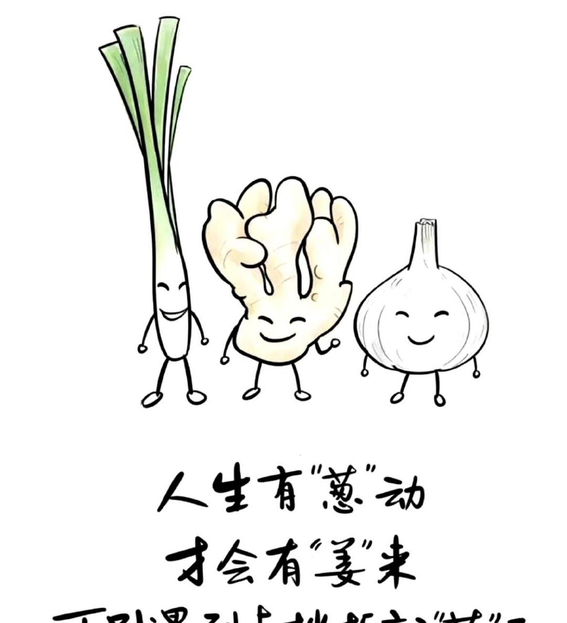 葱姜蒜的重要性在于它们是生活中不可或缺的.