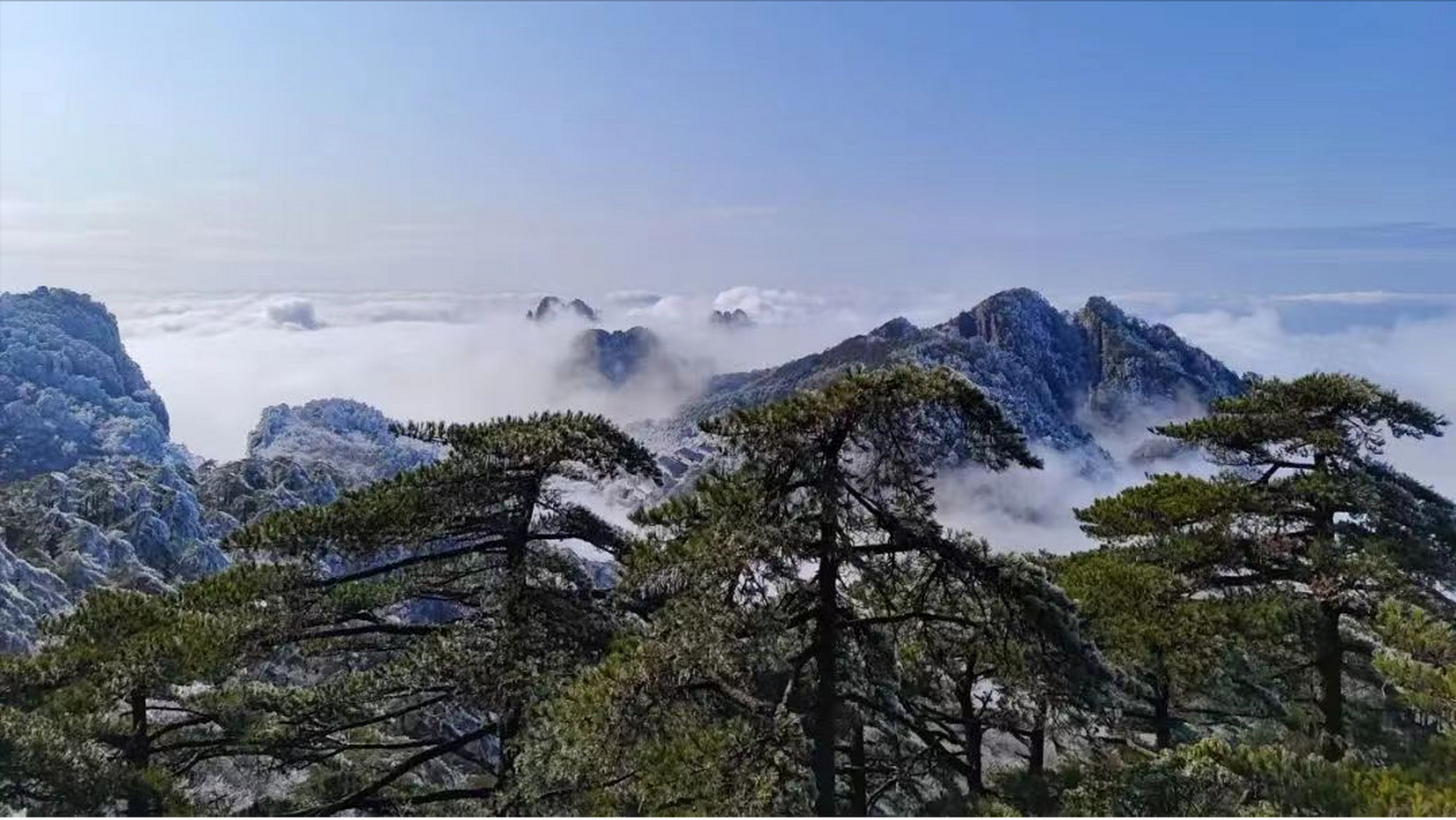 人如果真正改变了自己,就是一场灵魂深处的洗心革面.