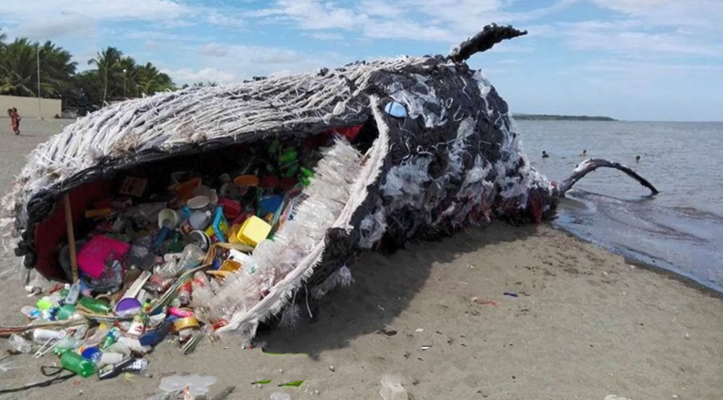 2017年,挪威一头鲸鱼奋力向岸上游去,一心求死,无论专家如何帮助它都