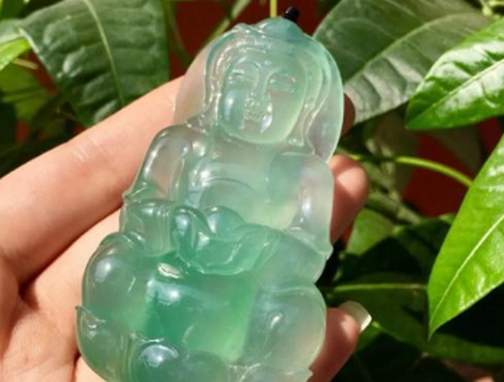 翡翠挂件##点击头像看直播# 金丝芙蓉种大观音:水润细腻 胶感十足