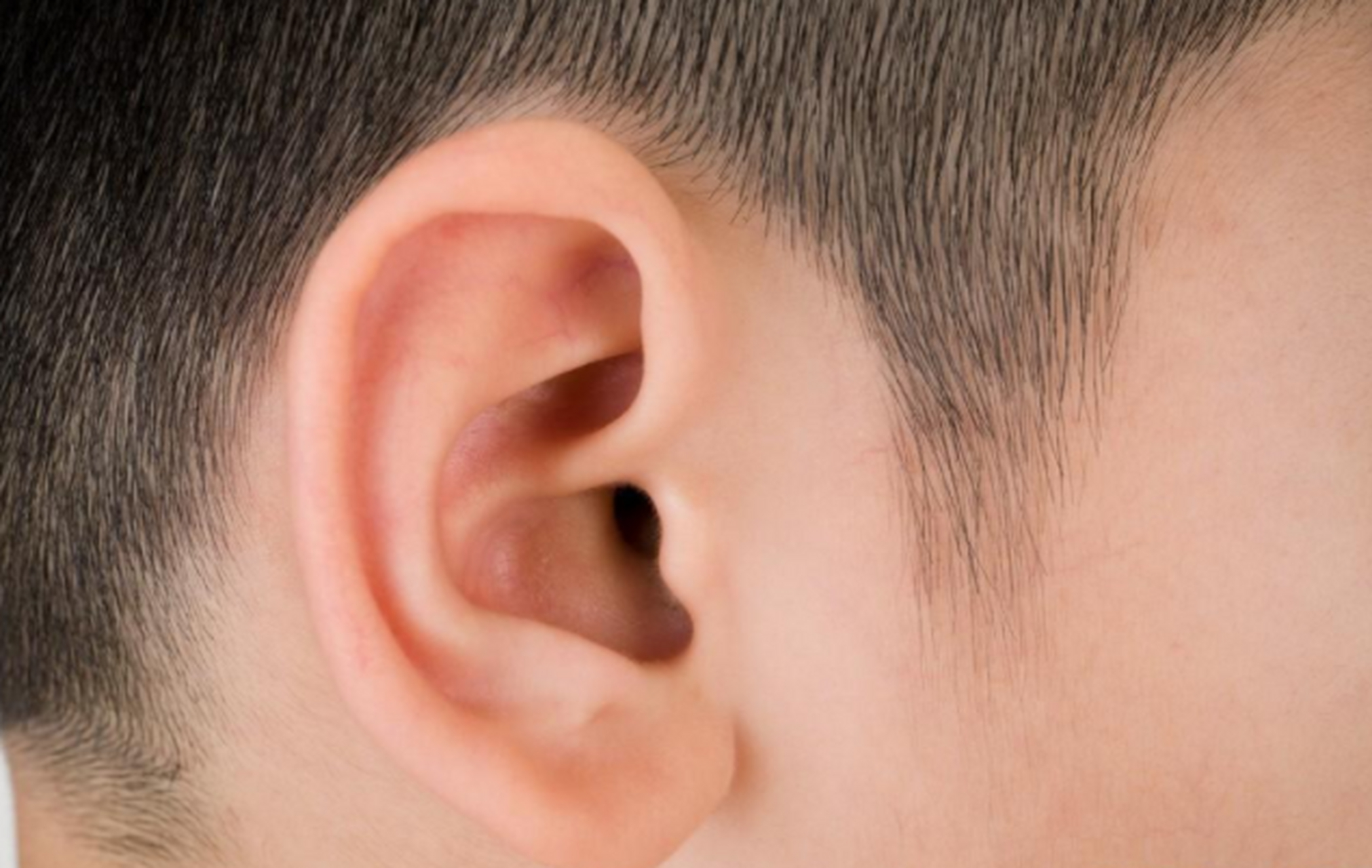 动耳神功:  许多动物都可以灵活地活动它们的耳朵,人类的耳朵上也有