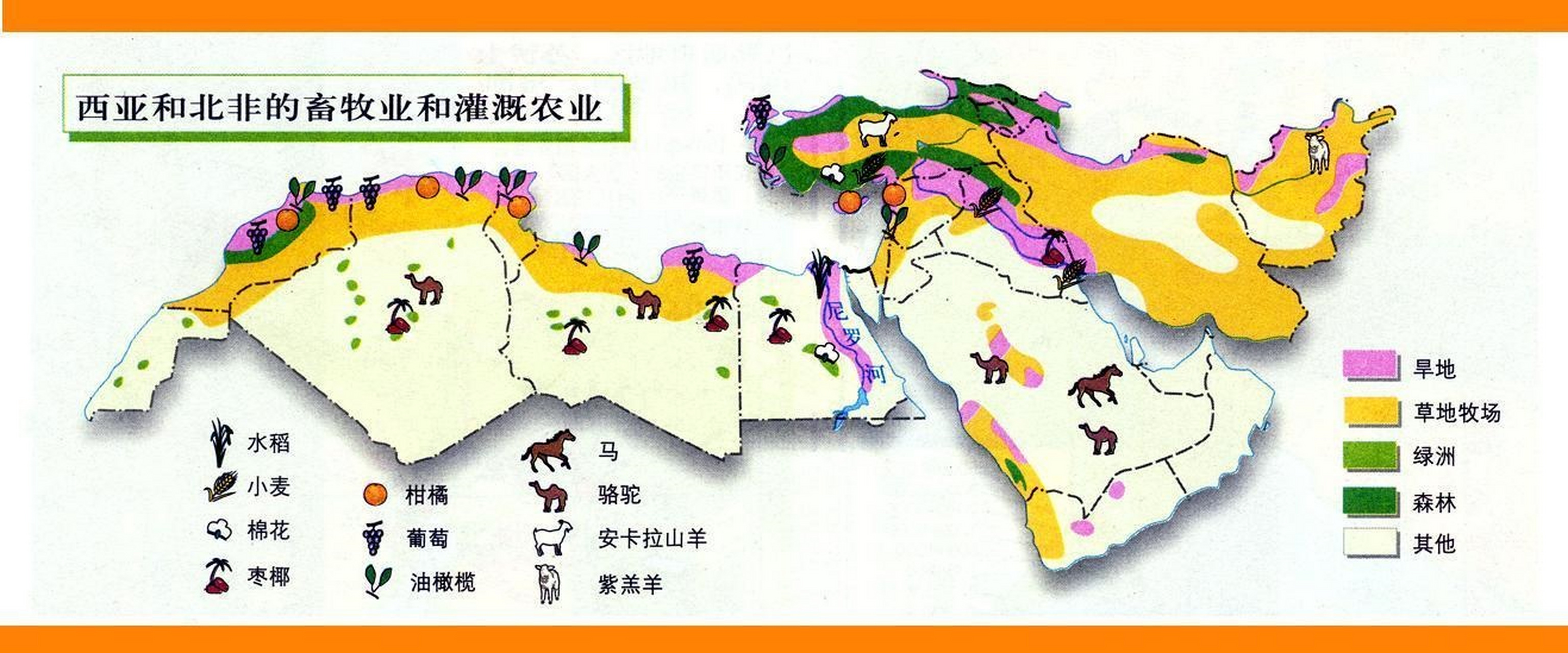 地理 西亚和北非畜牧业和灌溉农业分布图.