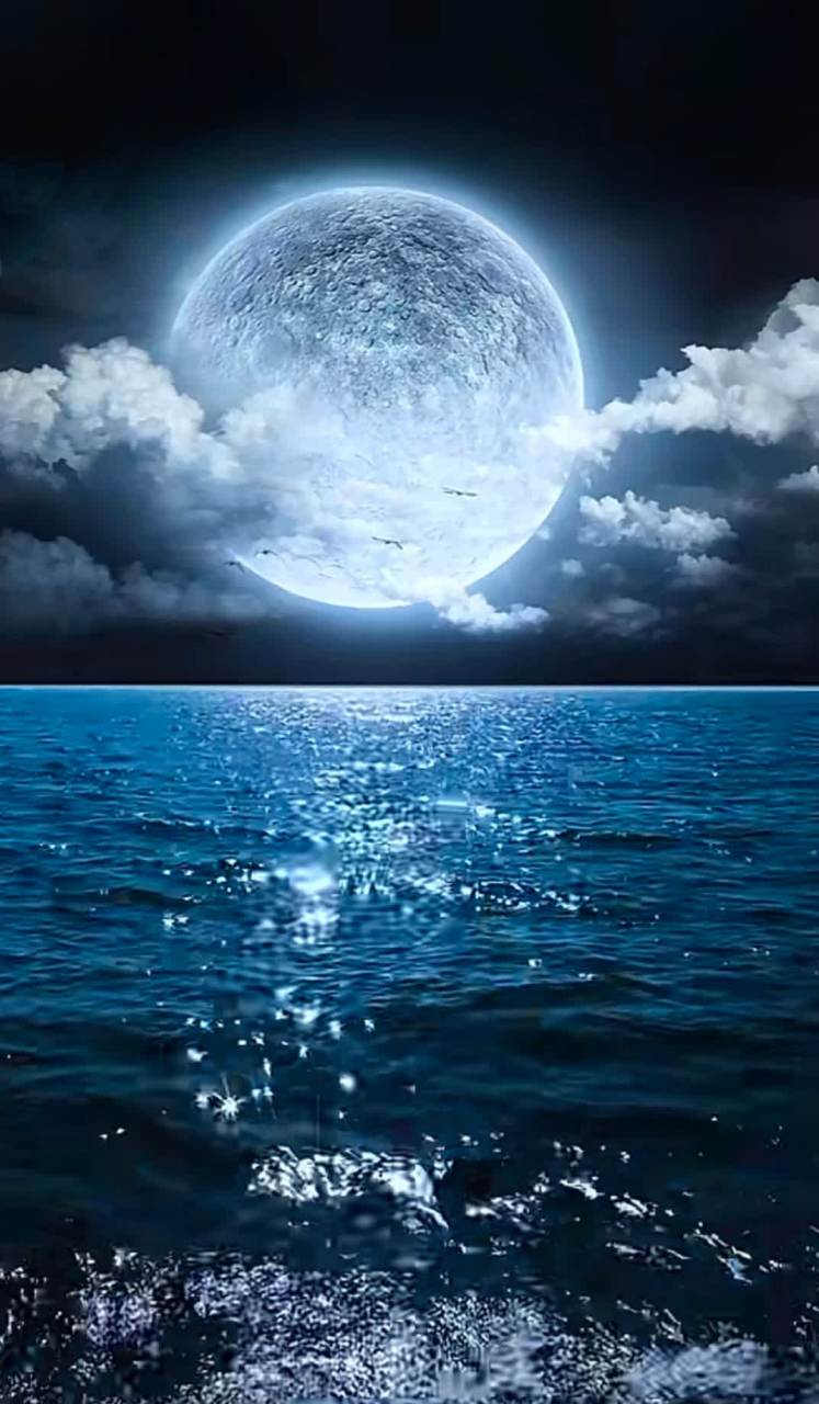 看天上的月亮,吹一吹人间的风,过着最平凡的生活.