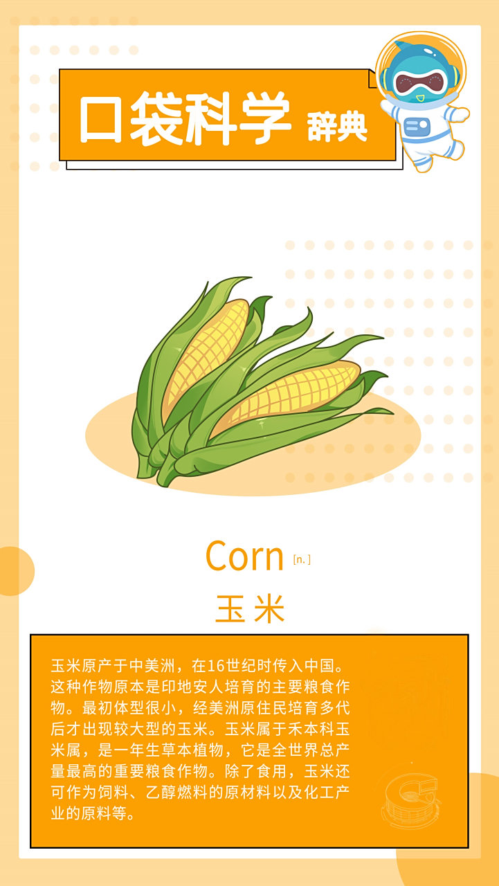 玉米用英文怎么说?#北京科学中心# #口袋科学辞典