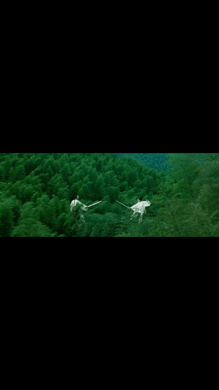 gif创作人# 《卧虎藏龙》投资1亿,票房14亿,电影开拍时,因为钱不够