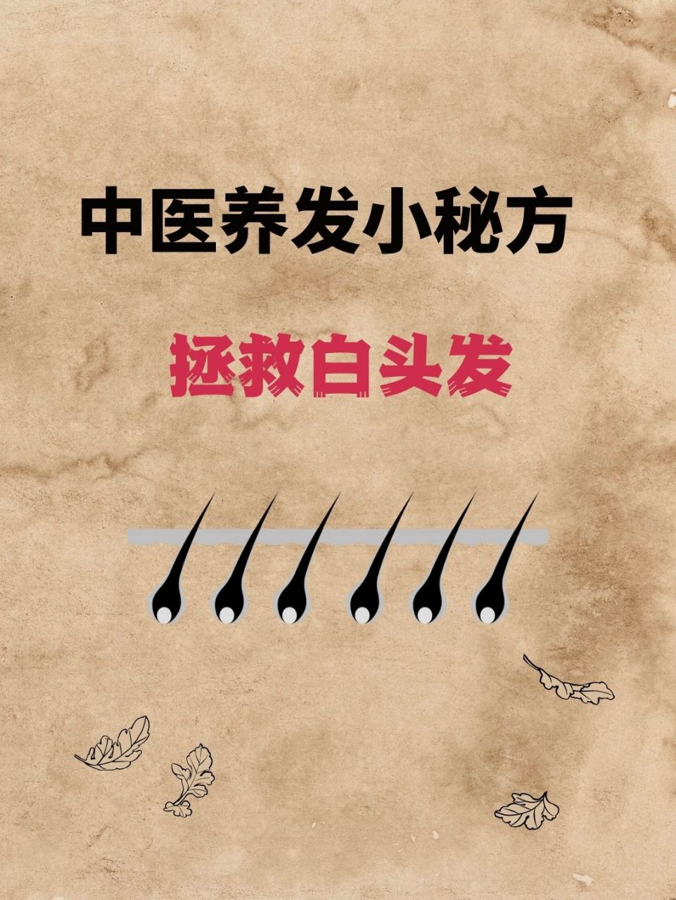 中医养发小秘方,拯救白头发 - 白头发增多,可以通过